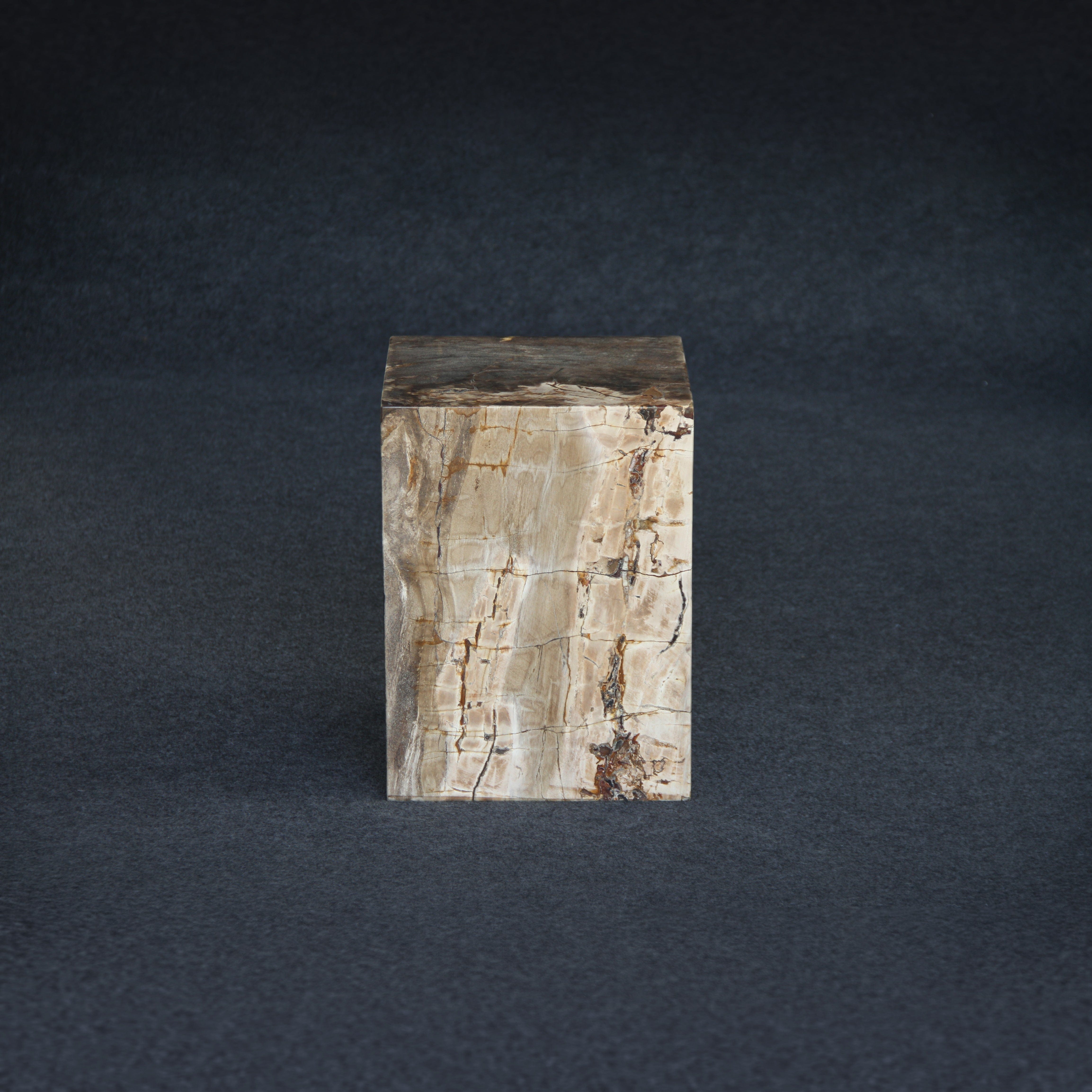 Kalifano Petrified Wood Petrified Wood Square Stump / Stool 16" / 203 lbs PWSS6200.009