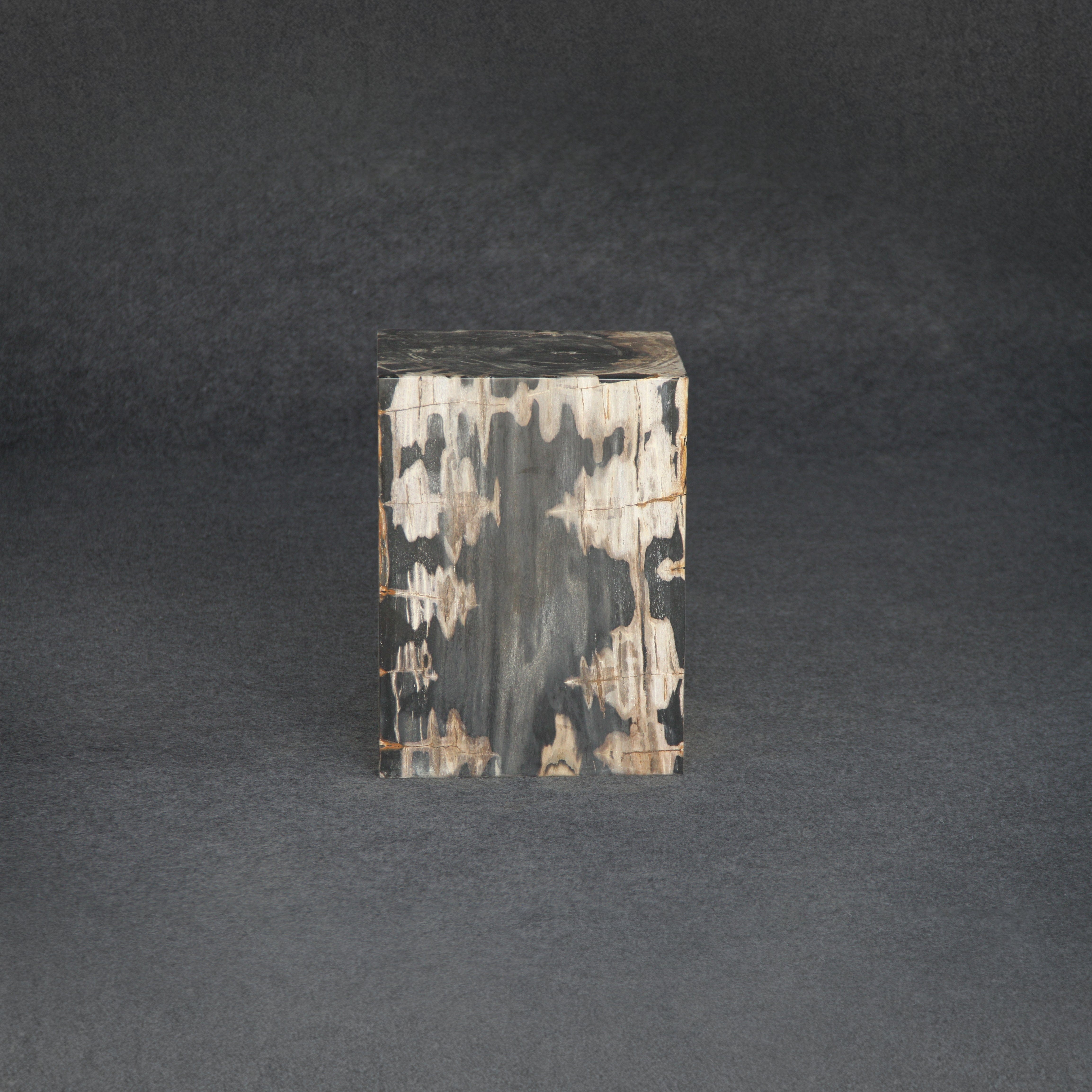 Kalifano Petrified Wood Petrified Wood Square Stump / Stool 16" / 207 lbs PWSS6400.001