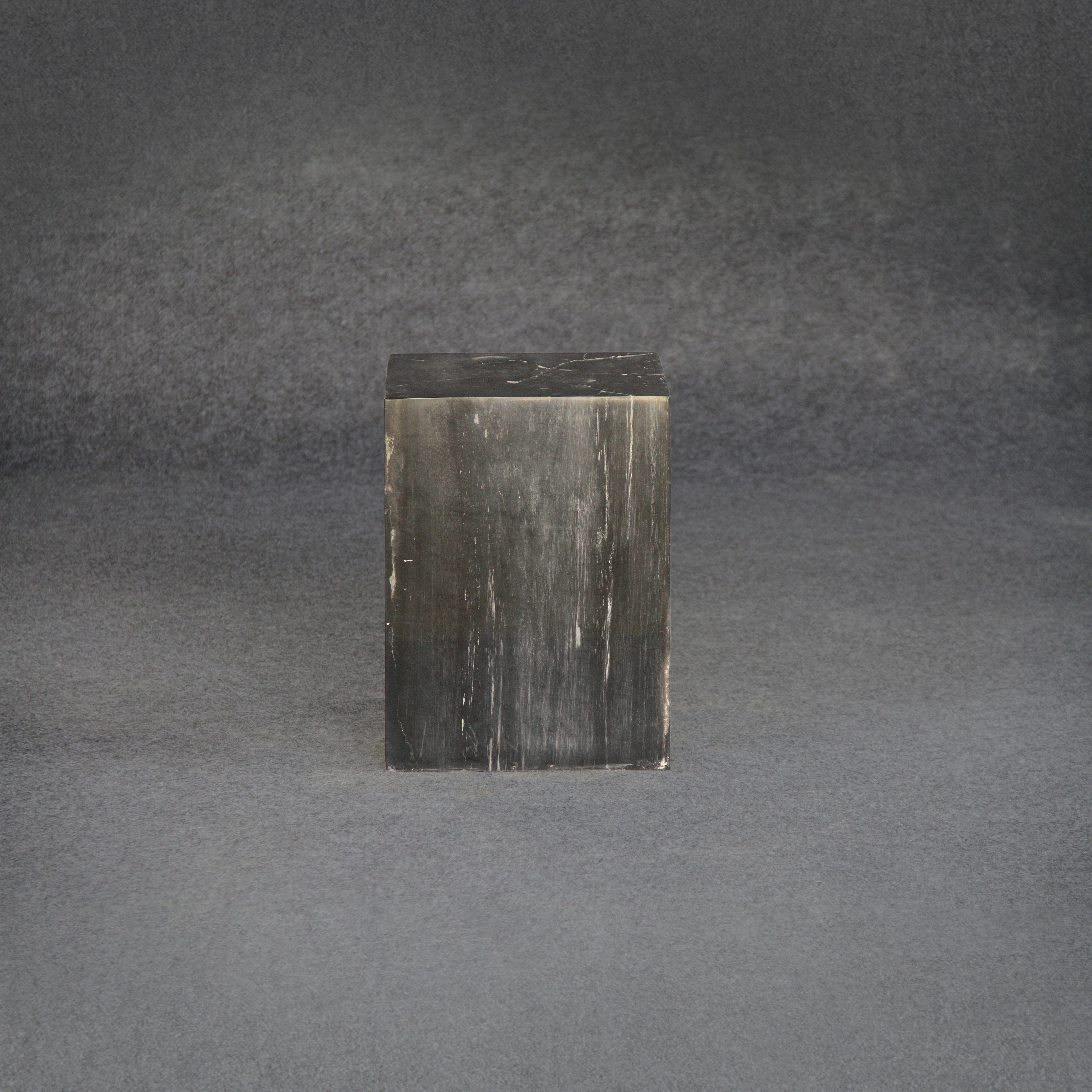 Kalifano Petrified Wood Petrified Wood Square Stump / Stool 16" / 218 lbs PWSS6800.002