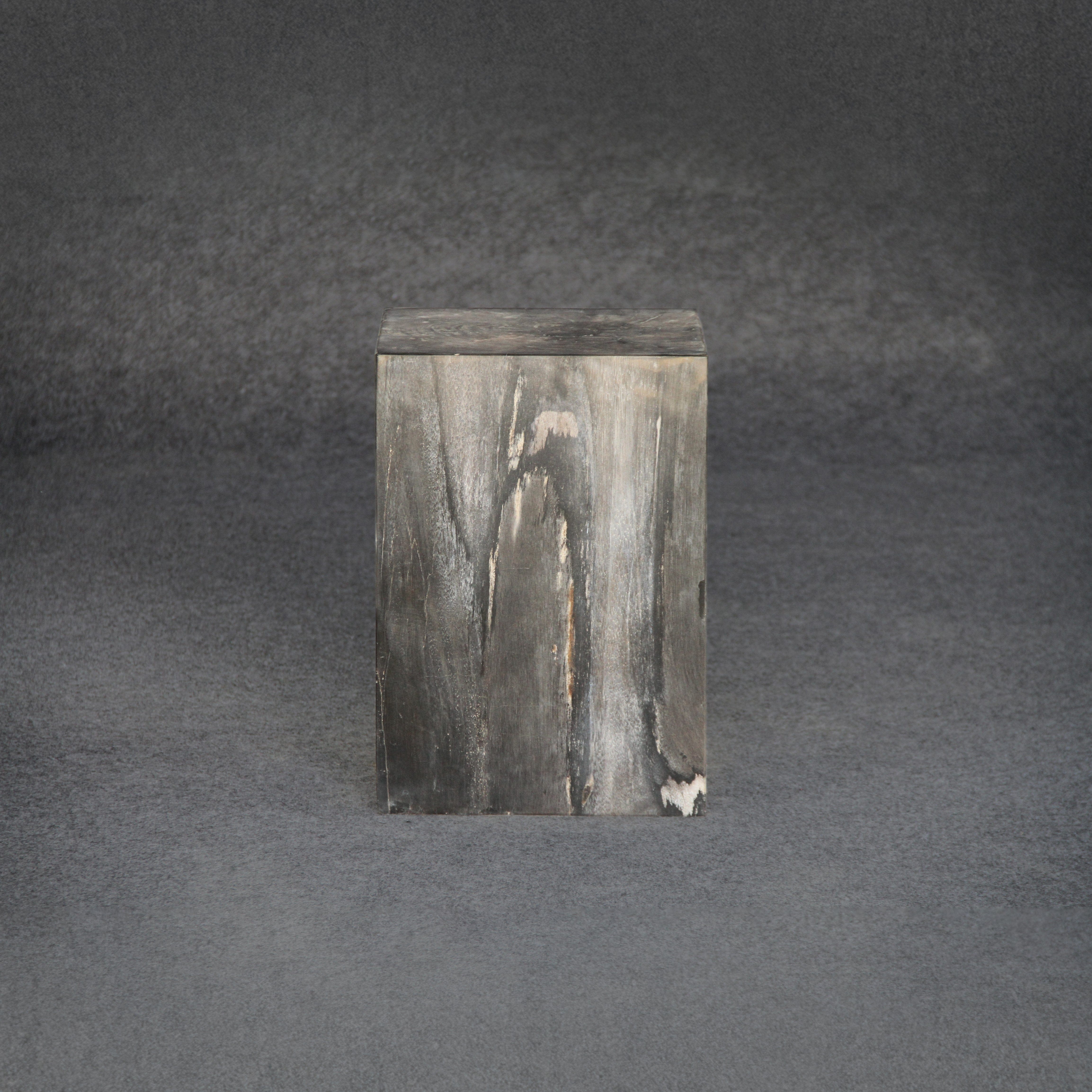 Kalifano Petrified Wood Petrified Wood Square Stump / Stool 18" / 247 lbs PWSS7600.001
