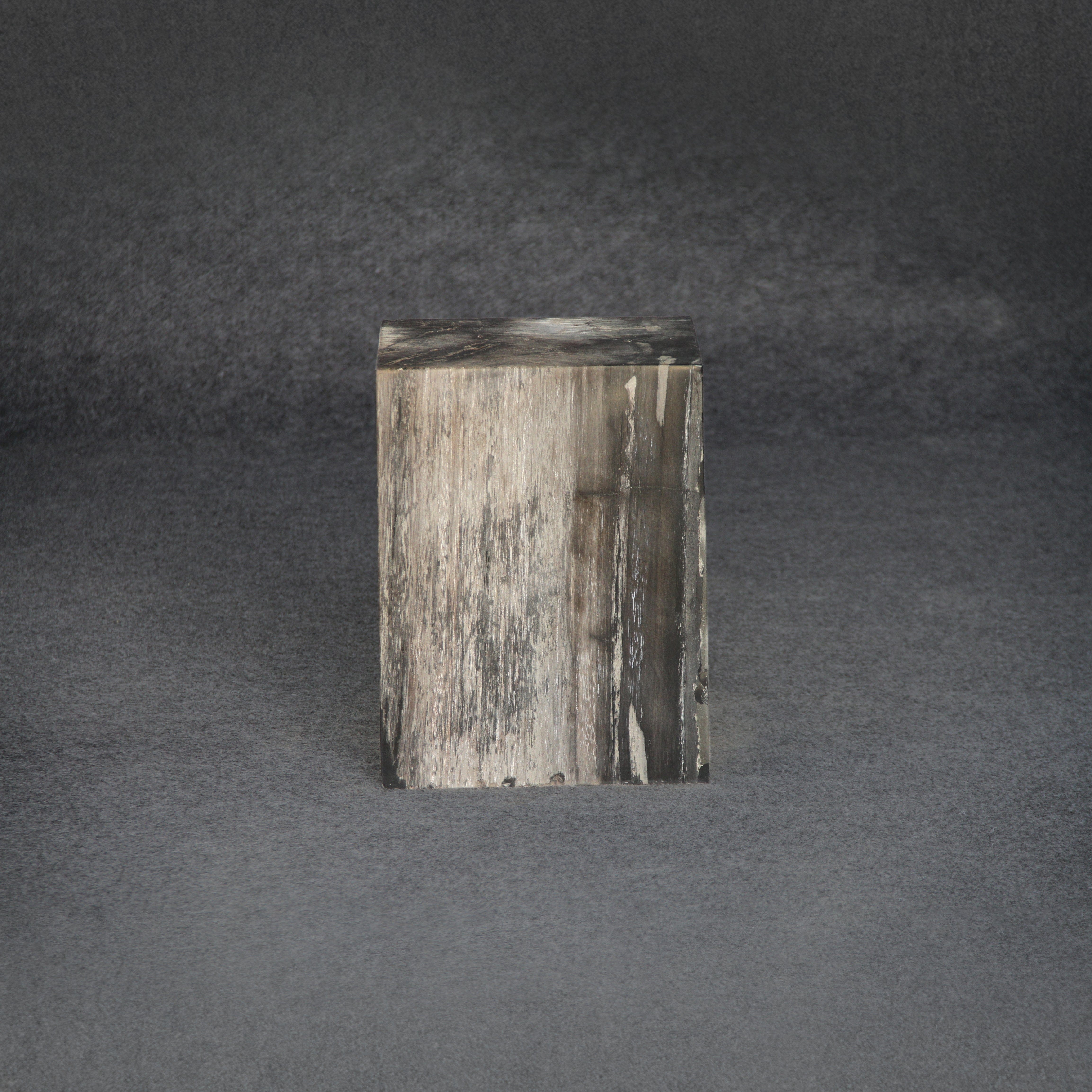 Kalifano Petrified Wood Petrified Wood Square Stump / Stool 18" / 251 lbs PWSS7800.001