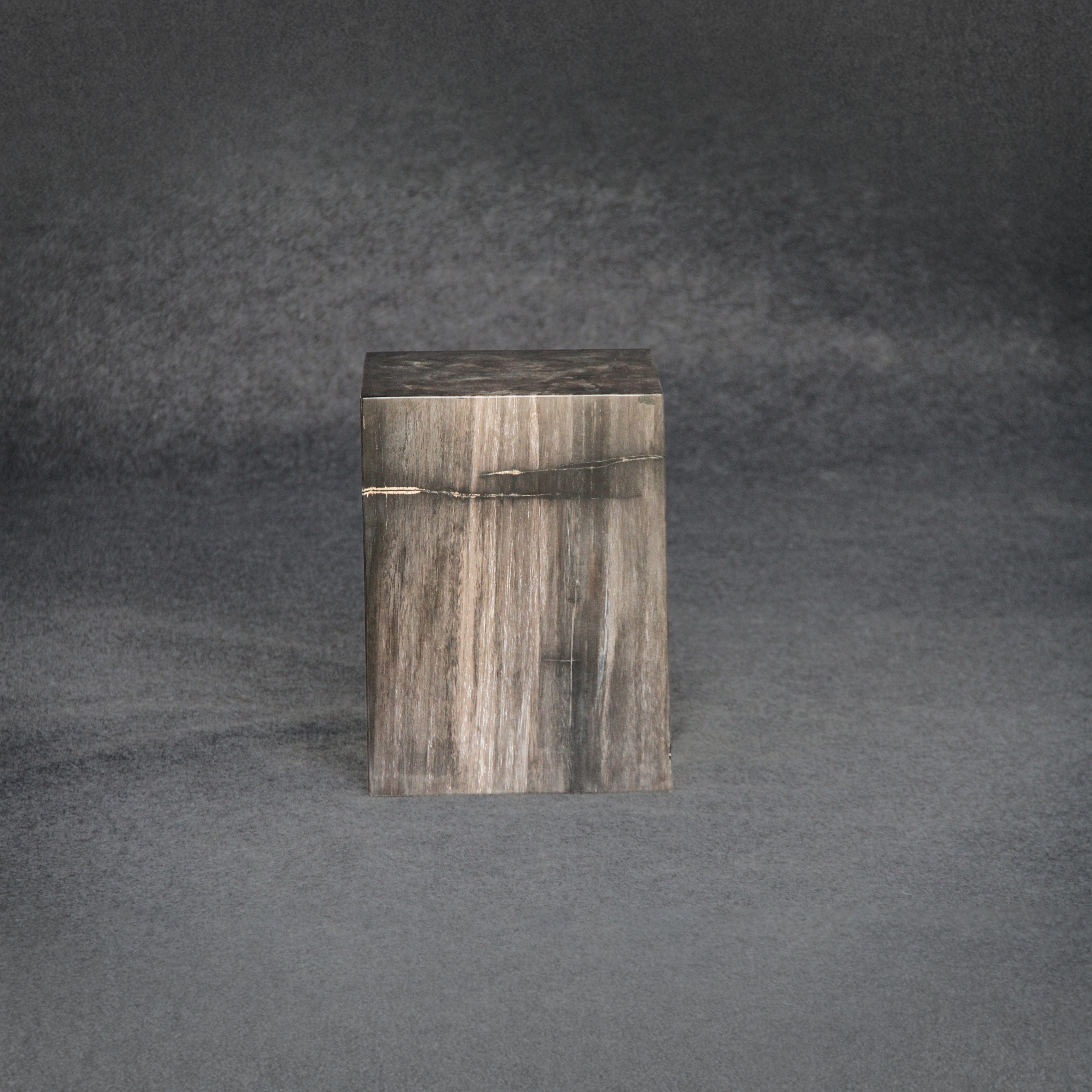 Kalifano Petrified Wood Petrified Wood Square Stump / Stool 18" / 258 lbs PWSS8000.001