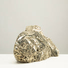 Peruvian Pyrite Fish Carving 9