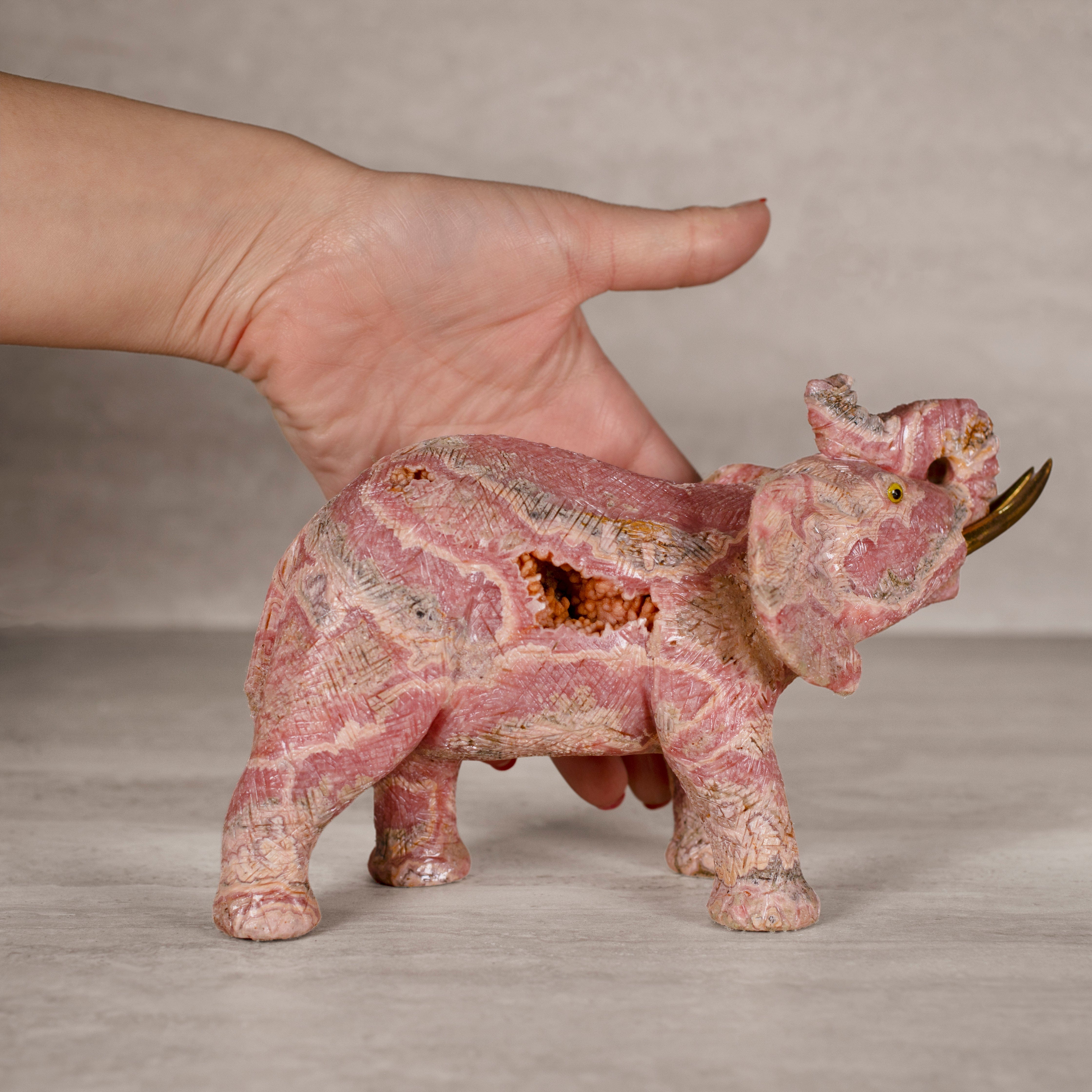 Kalifano Rhodochrosite Rhodochrosite Elephant Carving from Argentina - 8.75" / 1,545 g RC14400.001