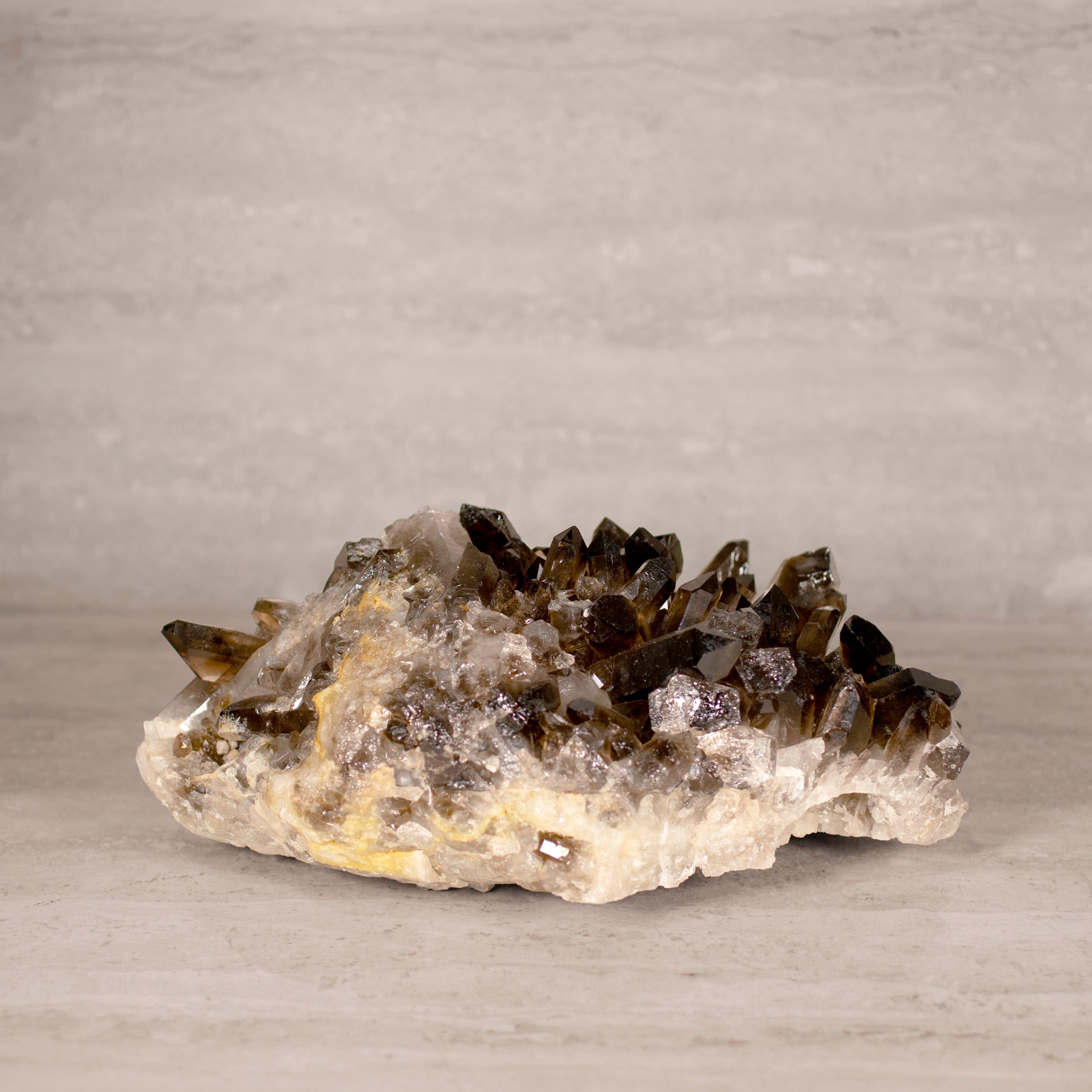 Kalifano Smoky Quartz Smoky Quartz Cluster from Brazil - 11.5" / 14 lbs SQ6000.006