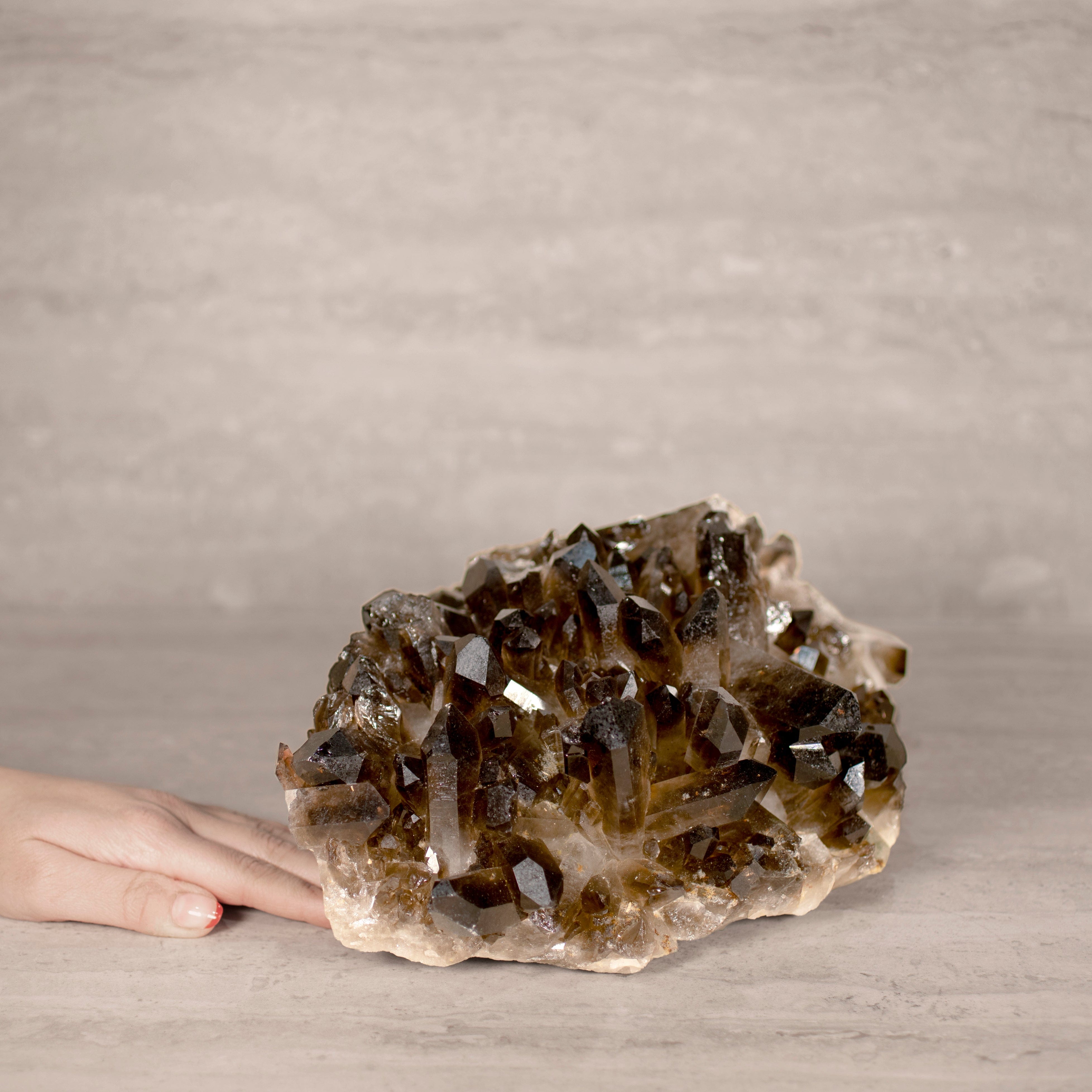 Kalifano Smoky Quartz Smoky Quartz Cluster from Brazil - 11.5" / 14 lbs SQ6000.006