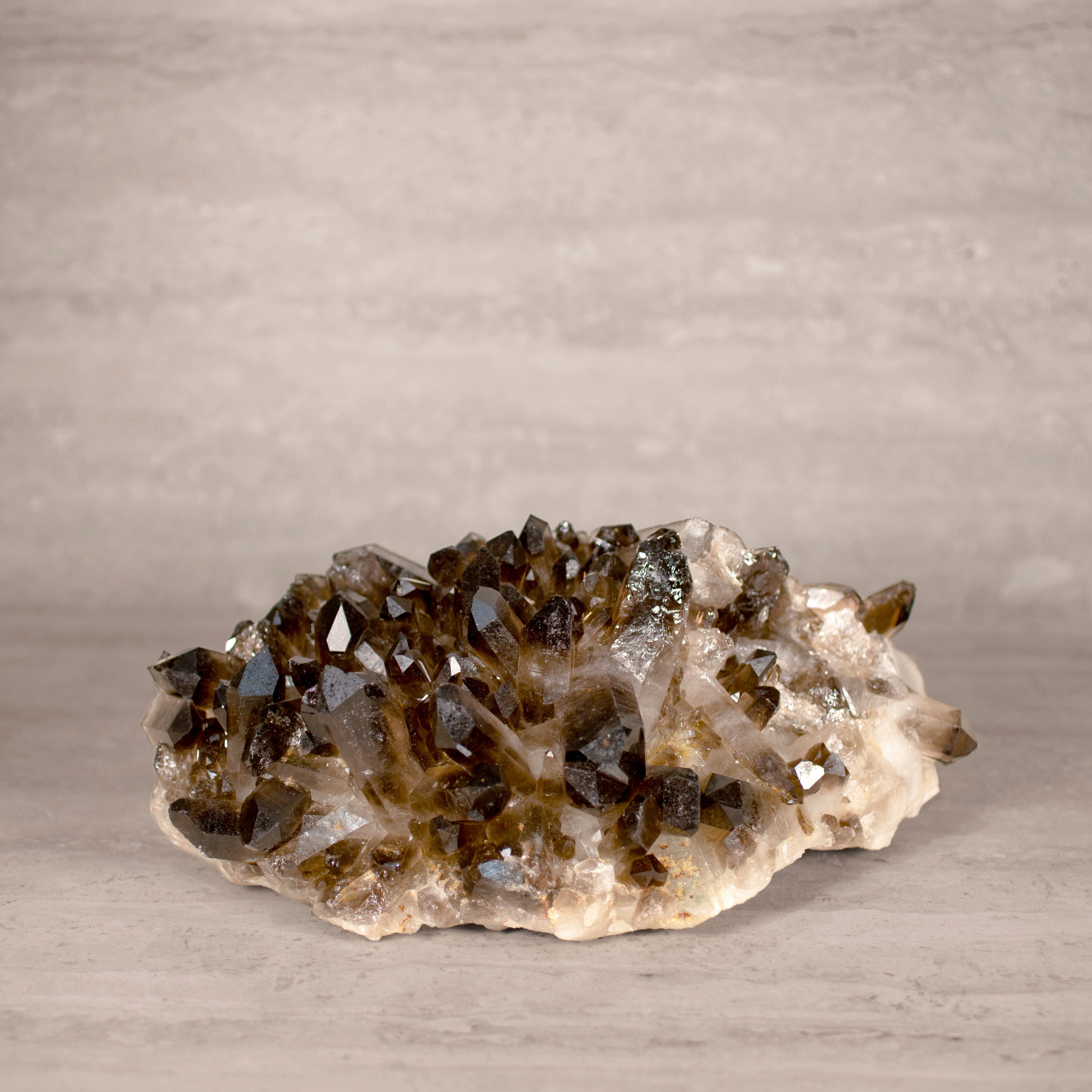 Kalifano Smoky Quartz Smoky Quartz Cluster from Brazil - 11.5" / 14 lbs SQ6000.006