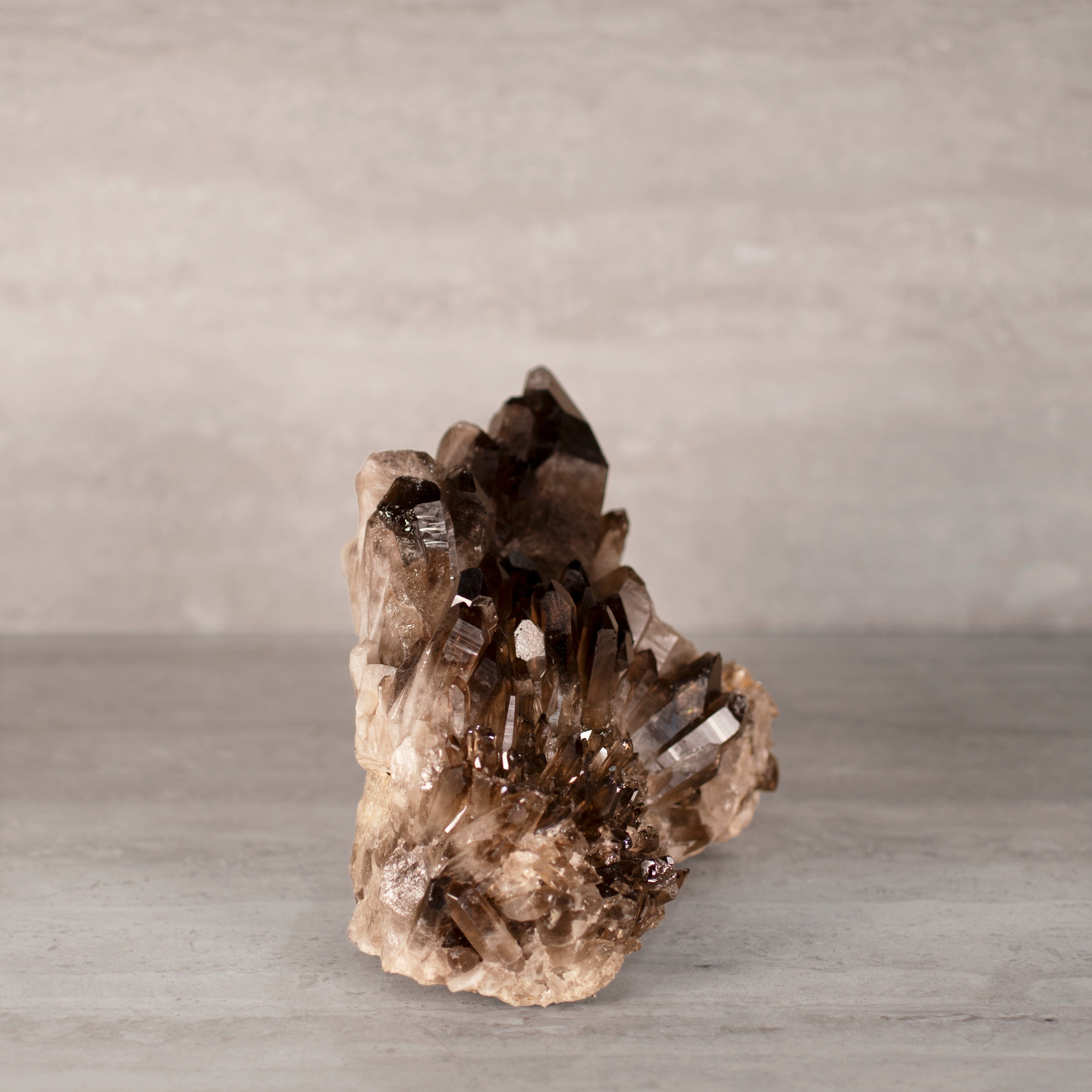 Kalifano Smoky Quartz Smoky Quartz Cluster from Brazil - 8.5" / 9 lbs SQ3800.005