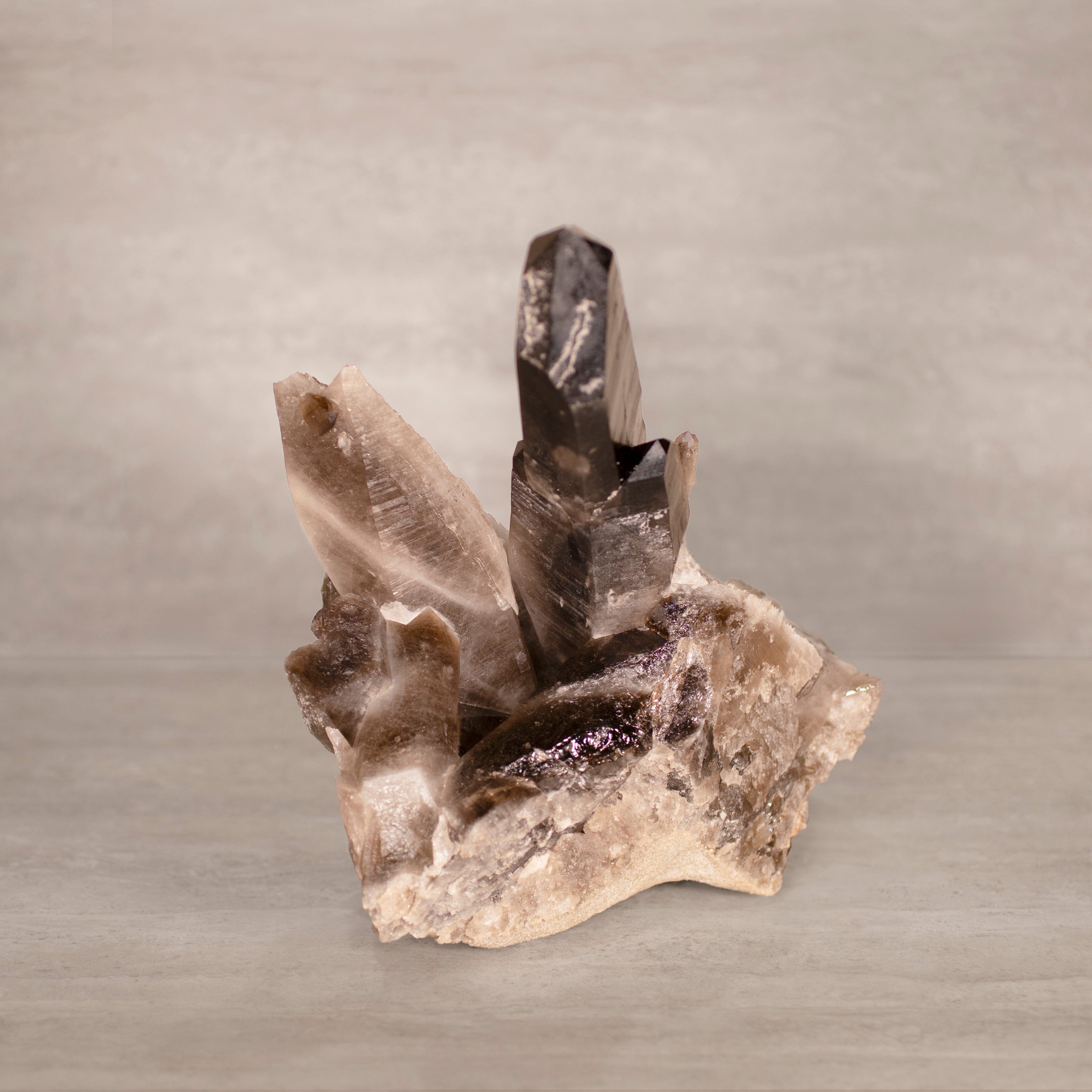 Kalifano Smoky Quartz Smoky Quartz Cluster from Brazil - 9.5" / 11 lbs SQ4800.007