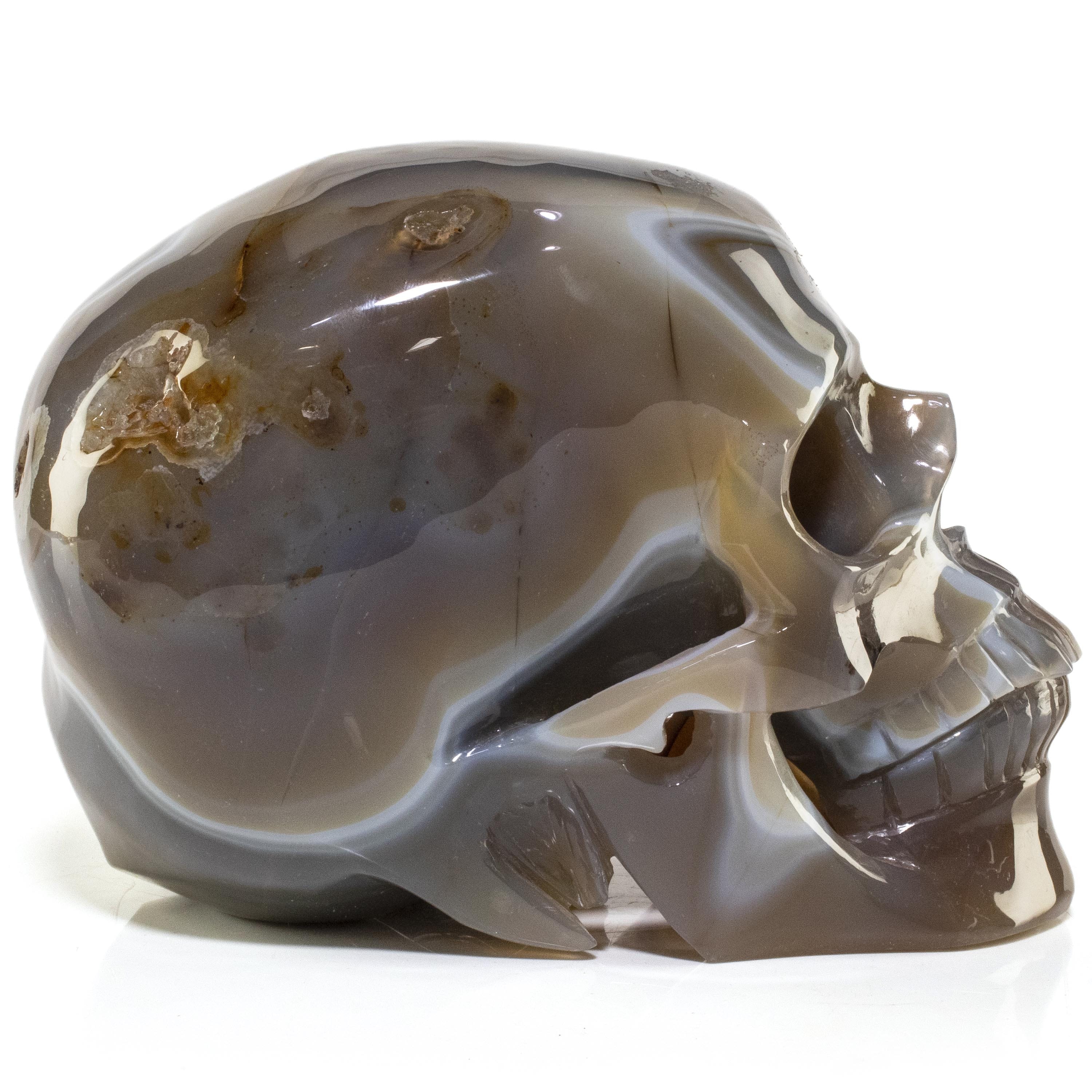 Kalifano Agate Agate Skull Carving 7" / 3,219g SK7600-AG.001