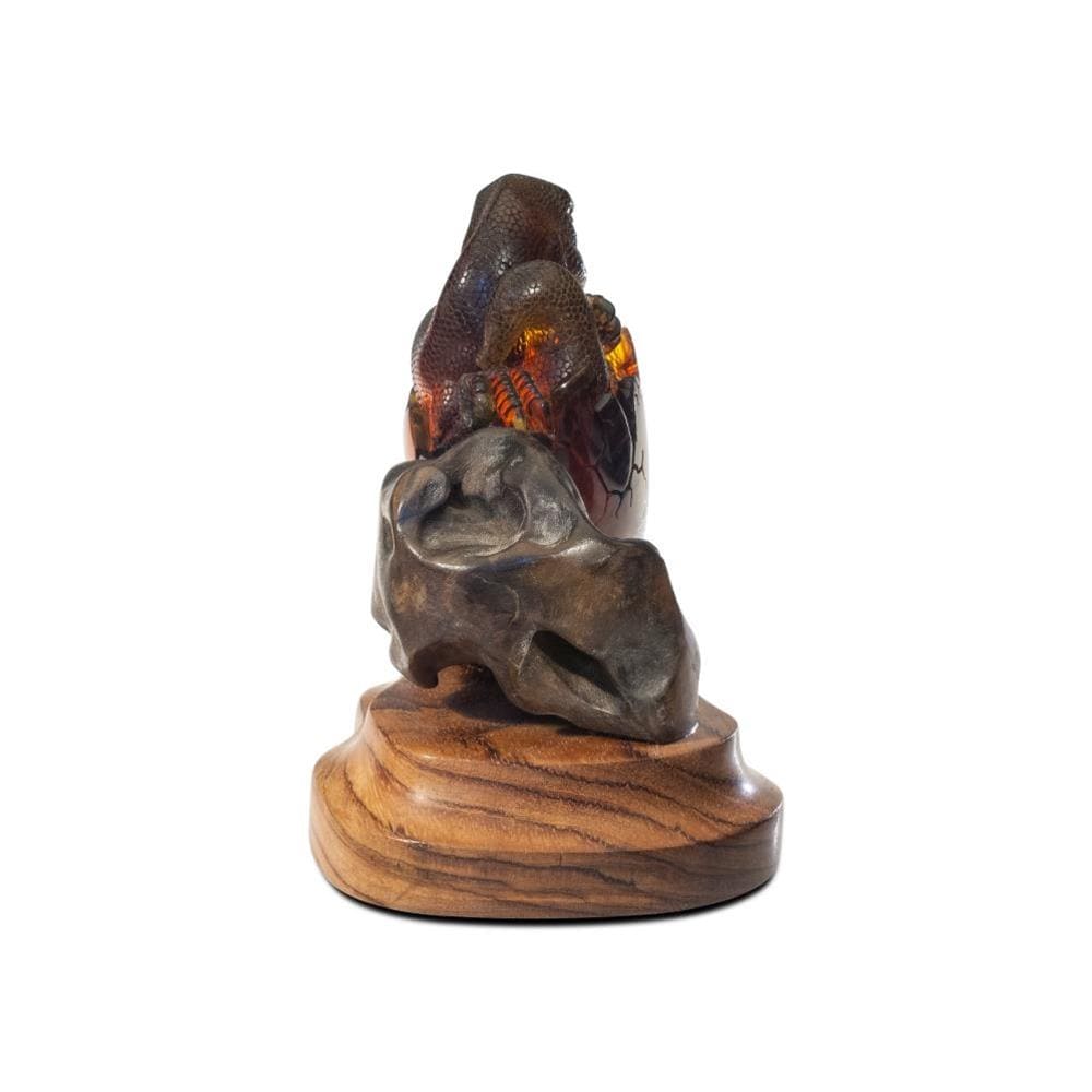 Kalifano Amber AMB14000.001 - Hand Carved Samora Amber Hatching Dragon - Mexico AMB14000.001