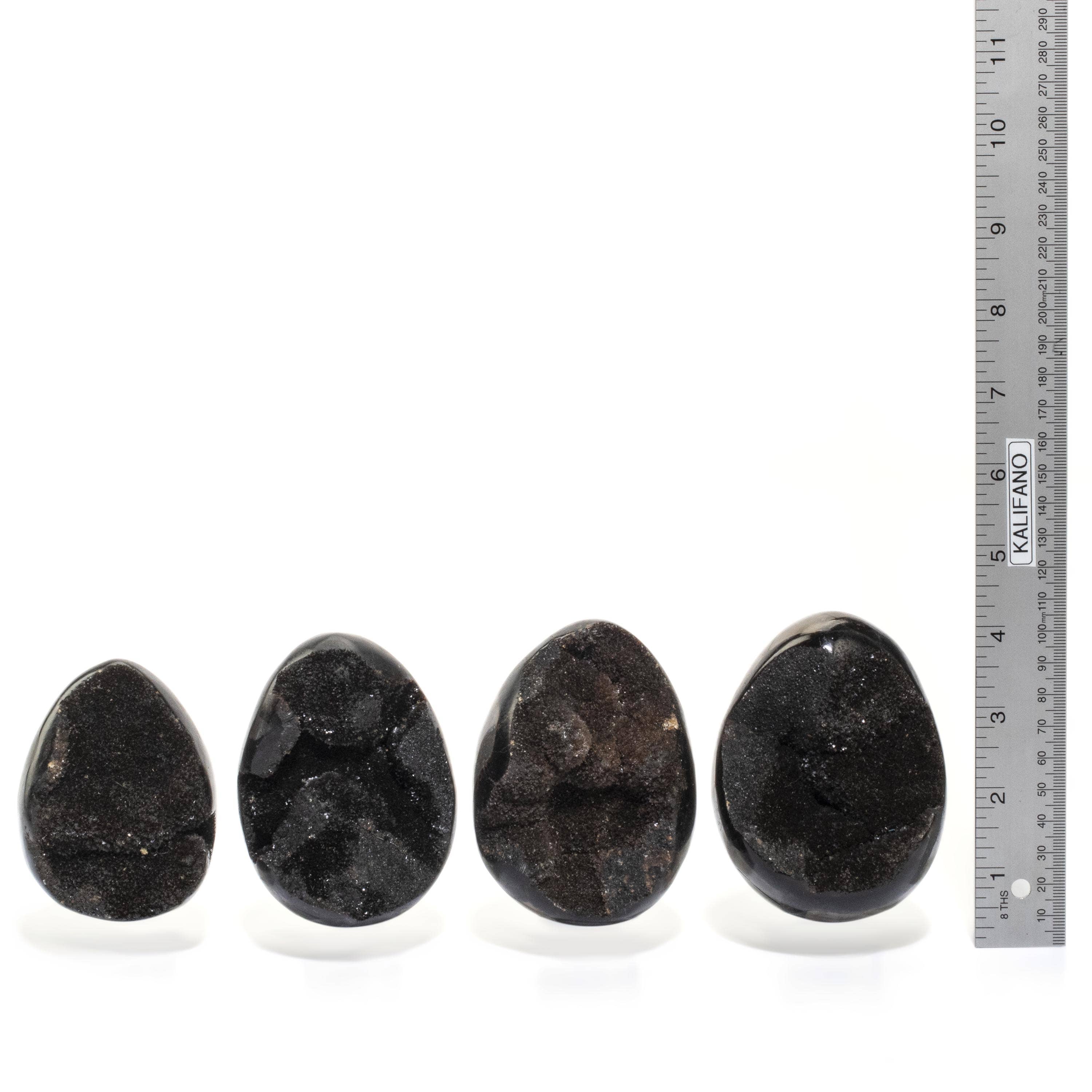 Kalifano Ammonites & Orthoceras Natural Septarian Druzy Dragon Egg from Madagascar - 4" / 550 grams DE400-SP