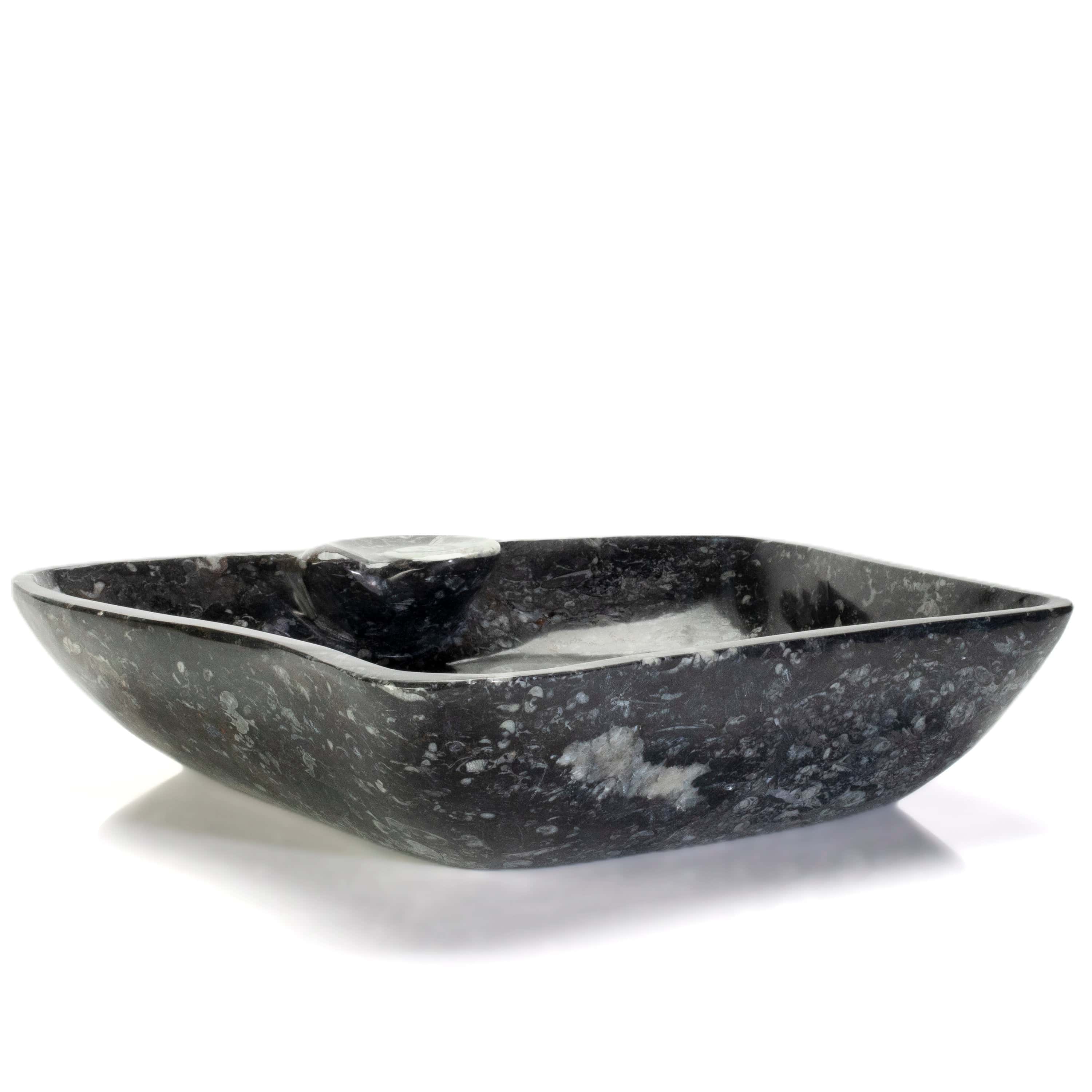 KALIFANO Ammonites & Orthoceras Orthoceras Fossil Sink Bowl ORBOWL3600.002