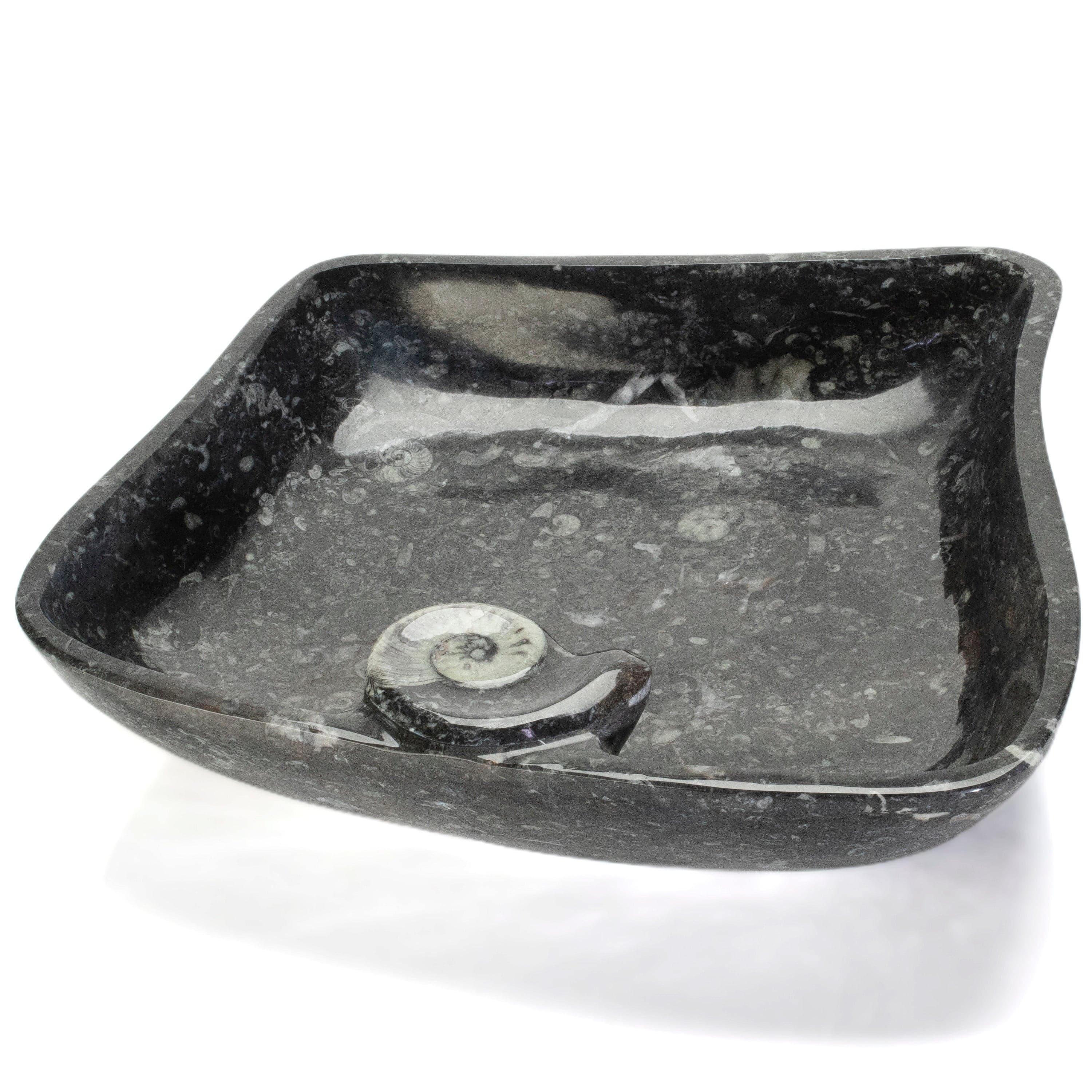 KALIFANO Ammonites & Orthoceras Orthoceras Fossil Sink Bowl ORBOWL3600.002