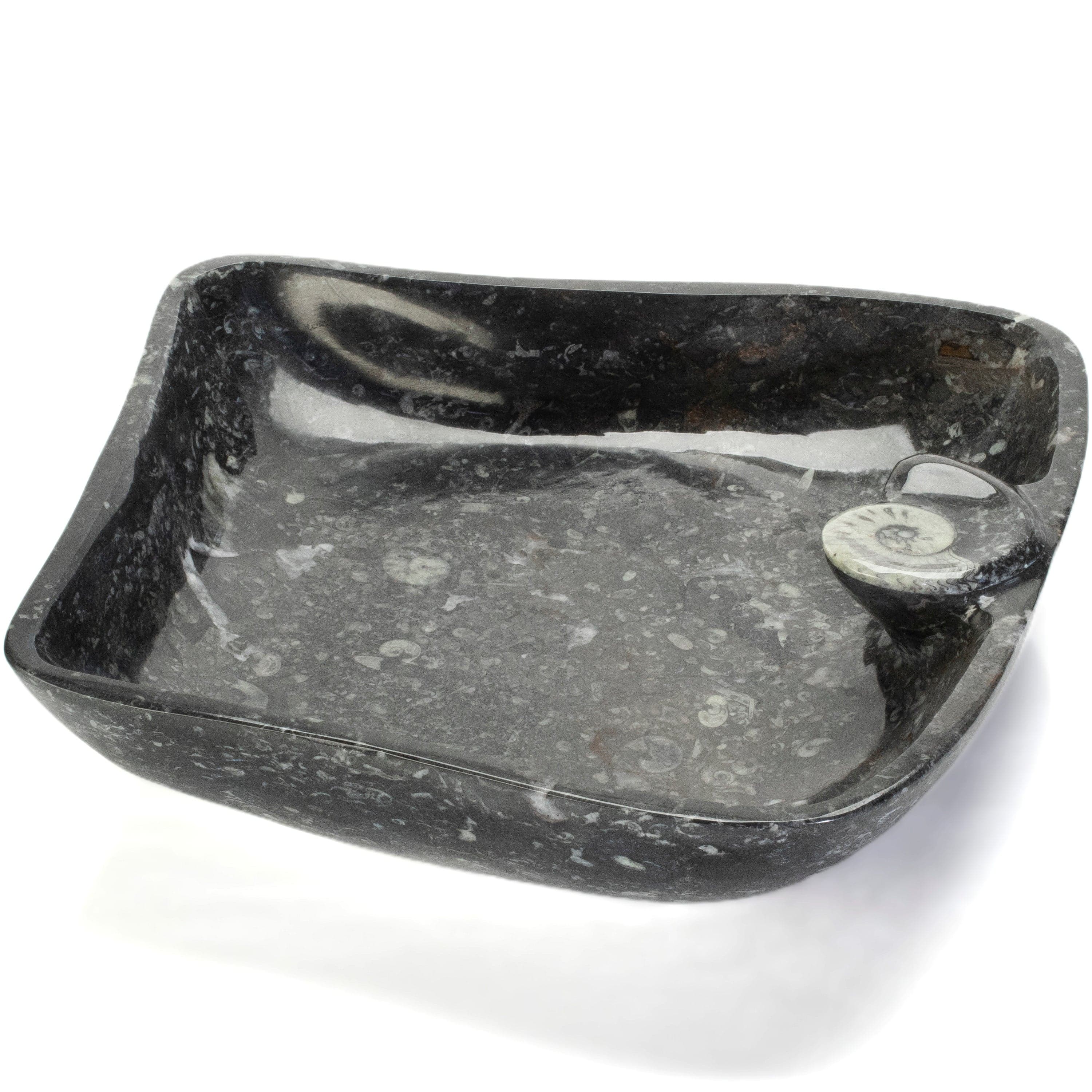 KALIFANO Ammonites & Orthoceras Orthoceras Fossil Sink Bowl ORBOWL3600.002