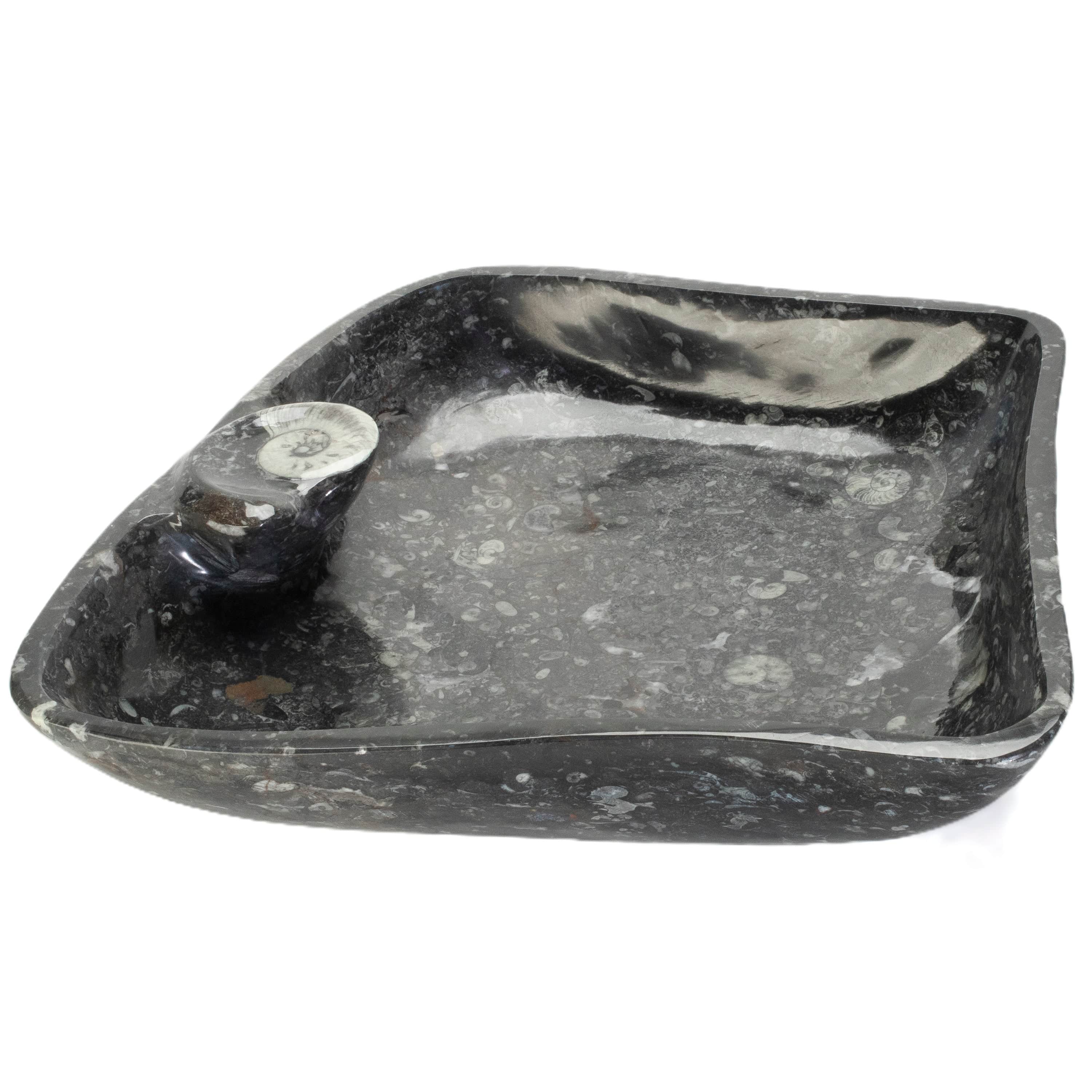 KALIFANO Ammonites & Orthoceras Orthoceras Fossil Sink Bowl ORBOWL3600.002