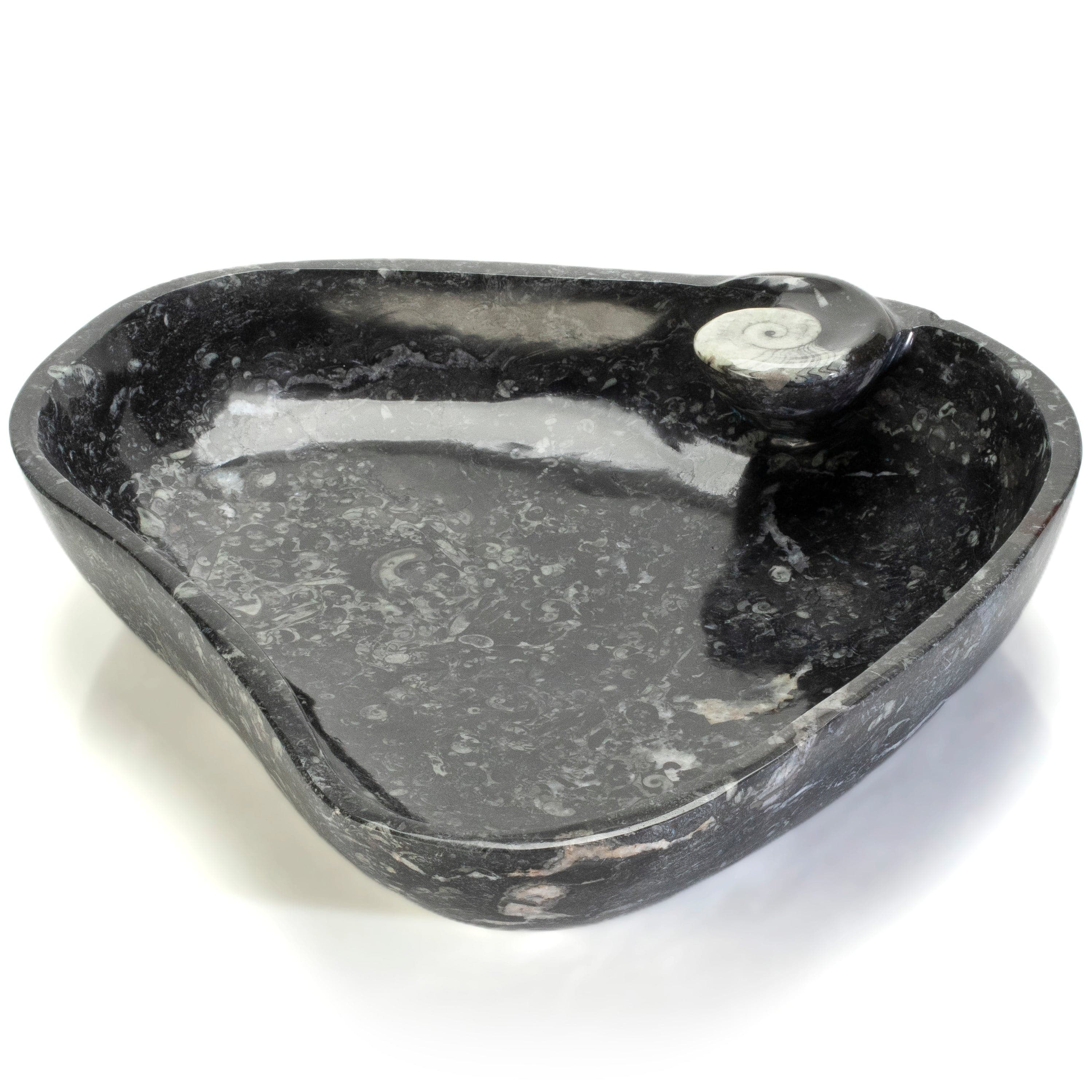 KALIFANO Ammonites & Orthoceras Orthoceras Fossil Sink Bowl ORBOWL3600.003