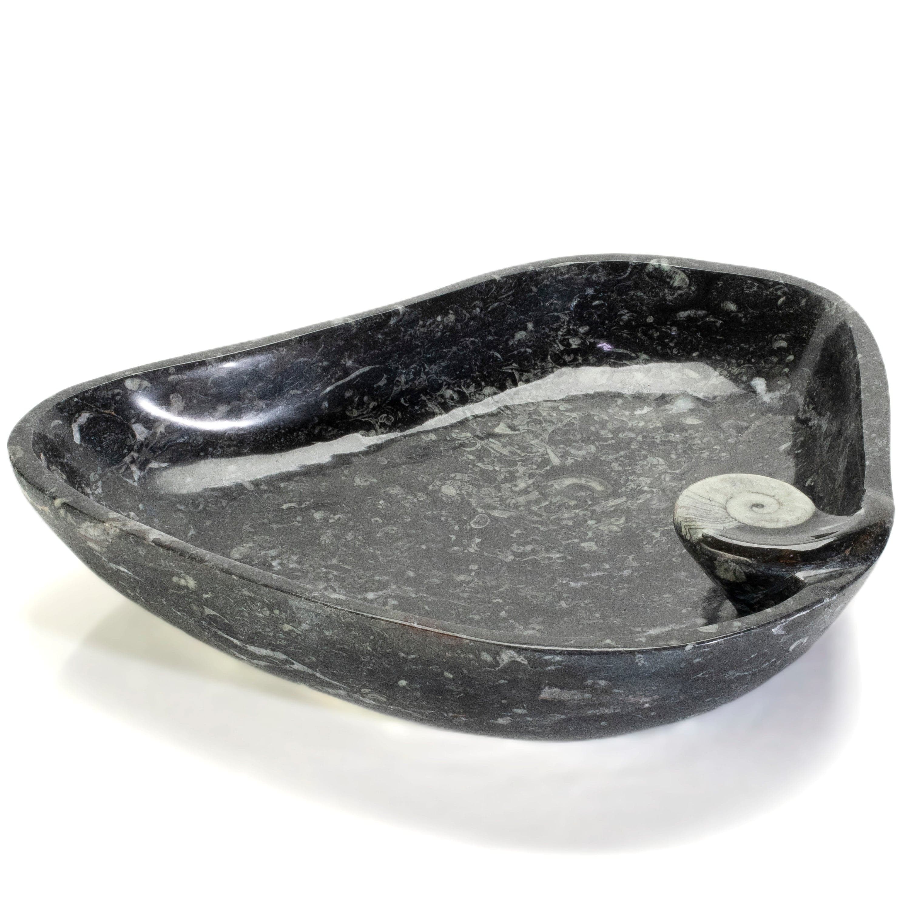 KALIFANO Ammonites & Orthoceras Orthoceras Fossil Sink Bowl ORBOWL3600.003