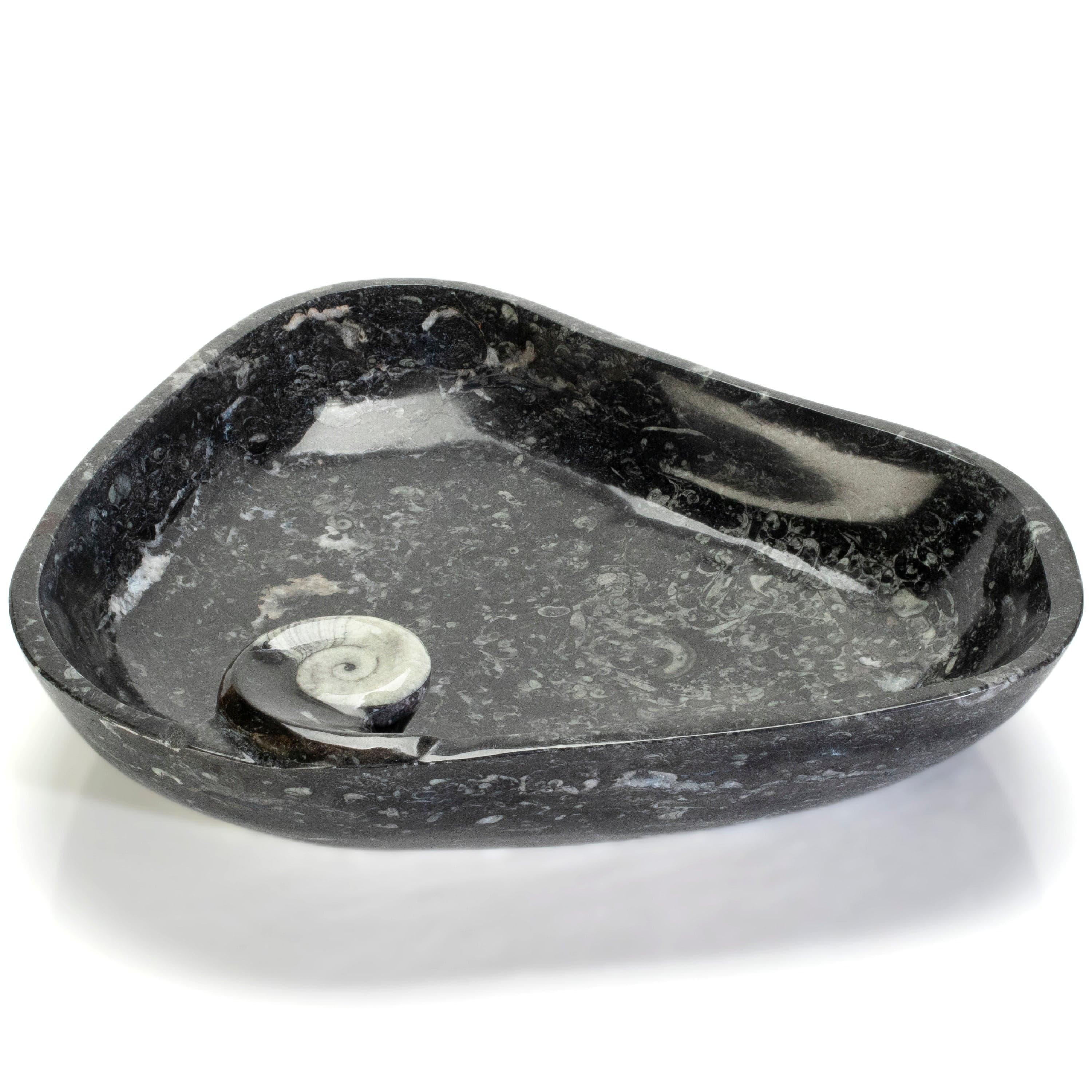 KALIFANO Ammonites & Orthoceras Orthoceras Fossil Sink Bowl ORBOWL3600.003