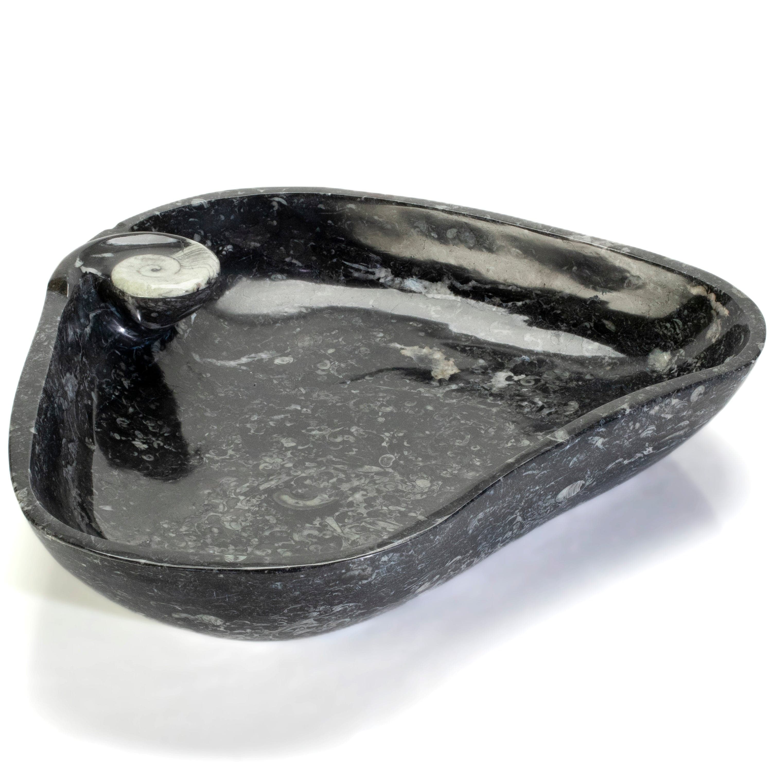 KALIFANO Ammonites & Orthoceras Orthoceras Fossil Sink Bowl ORBOWL3600.003