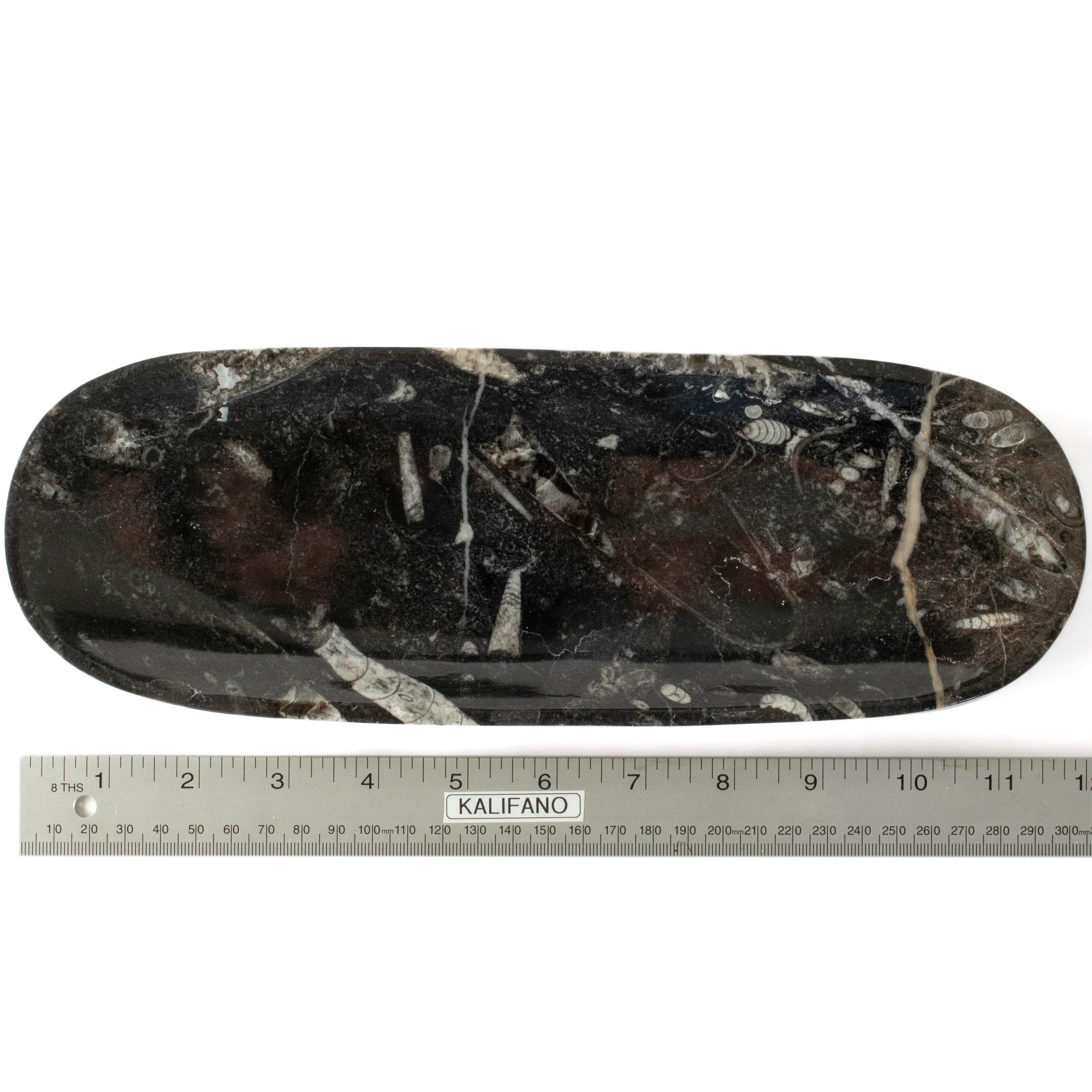 Kalifano Fossils & Minerals Natural Black Orthoceras Long Oval Bowl from Morocco- 12" BORO240