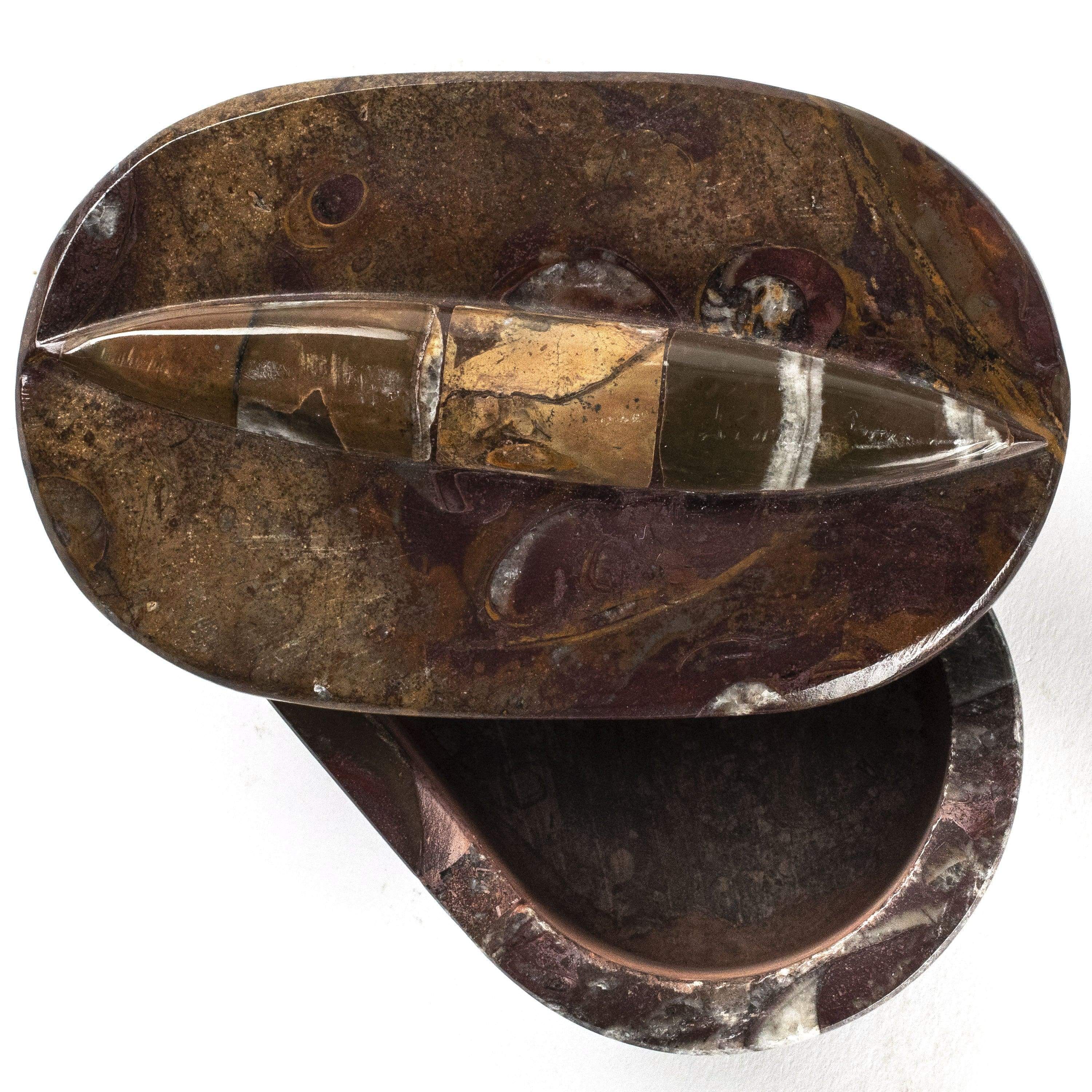 Kalifano Fossils & Minerals SVA-ORO - Oval Orthoceras Box - Morocco SVA-ORO