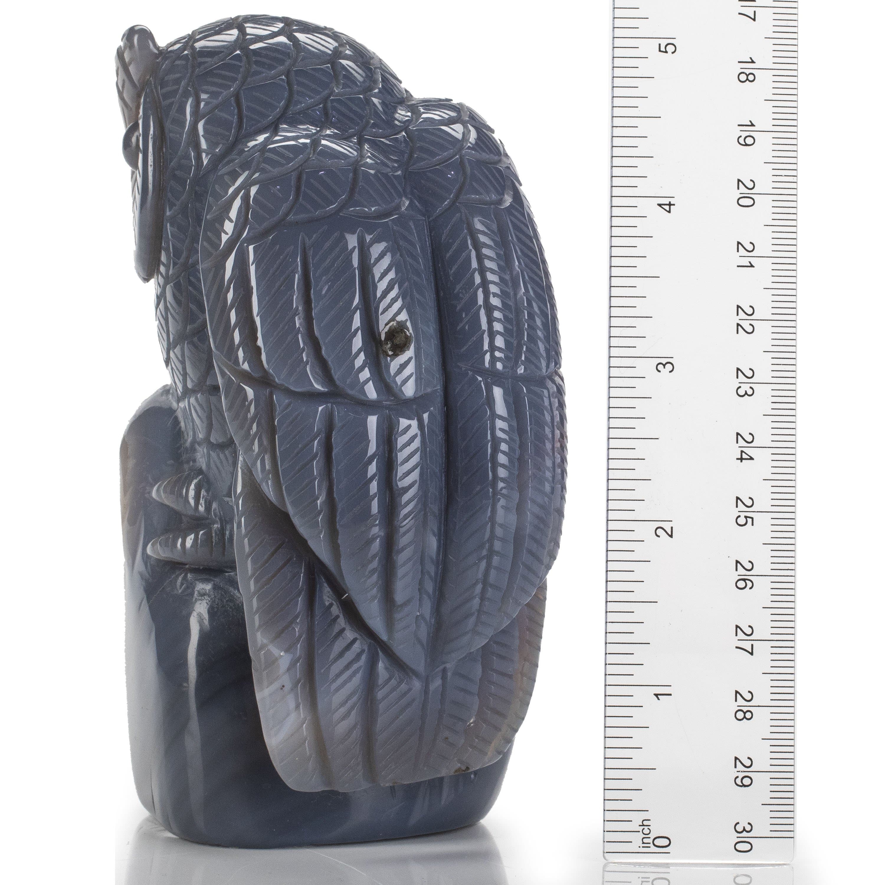 Kalifano Gemstone Carvings Natural Brazilian Blue Lace Agate Owl Animal Carving - 5.2 in CV298.002