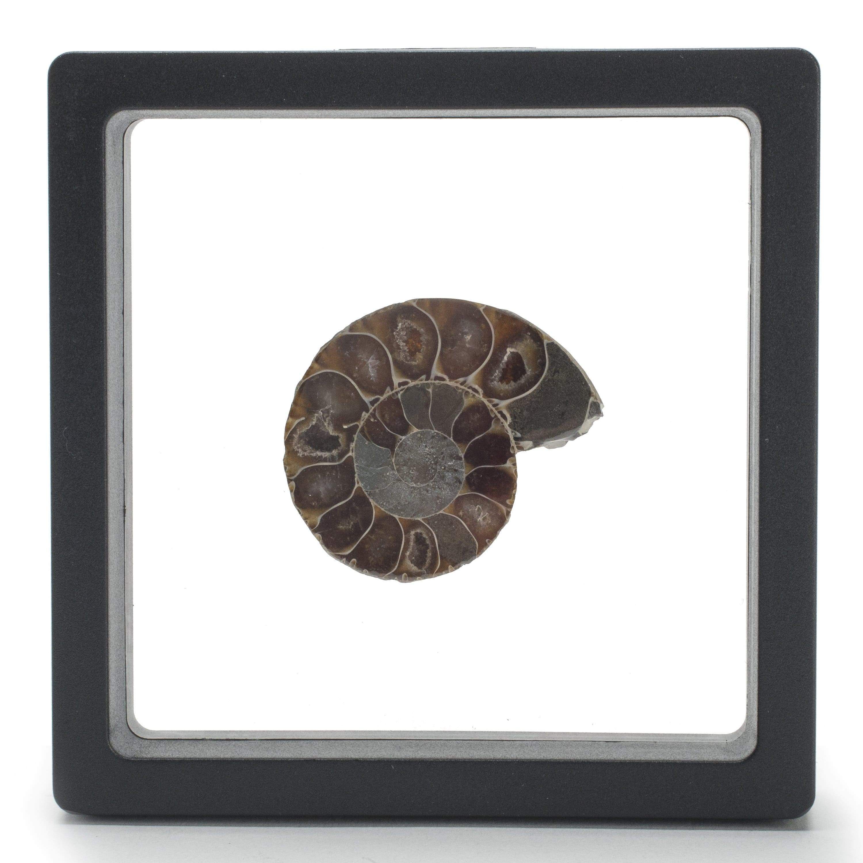 Kalifano Jewelry Displays Black FIlm Case Display - 9 cm x 9 cm DISPLAY-BFC