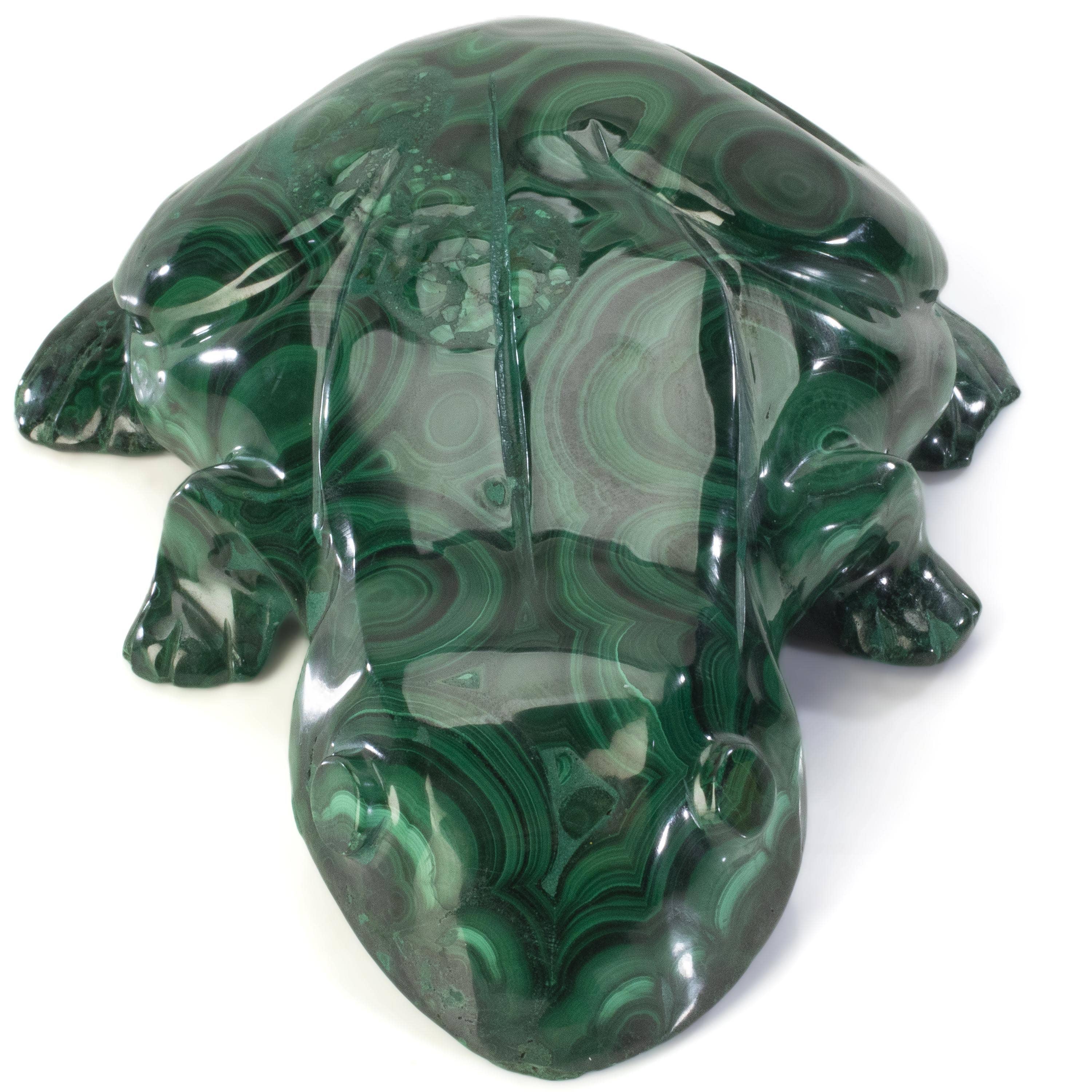 Kalifano Malachite Malachite Frog Carving 7" / 1,780g CV5600-MA.001