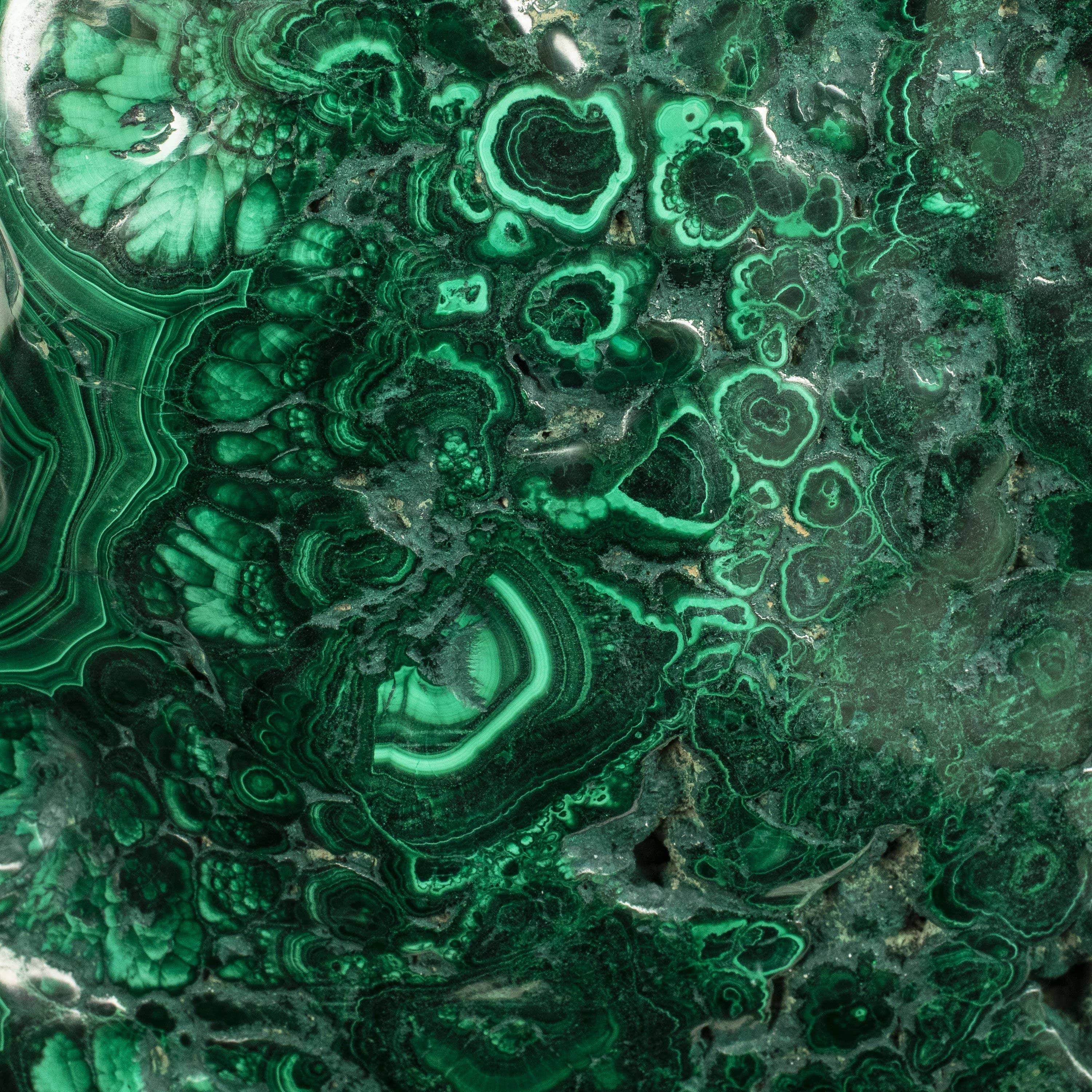 Kalifano Malachite Rare Natural Green Malachite Polished Freeform Specimen from Congo - 22.6 kg / 49.9 lbs MA14400.001