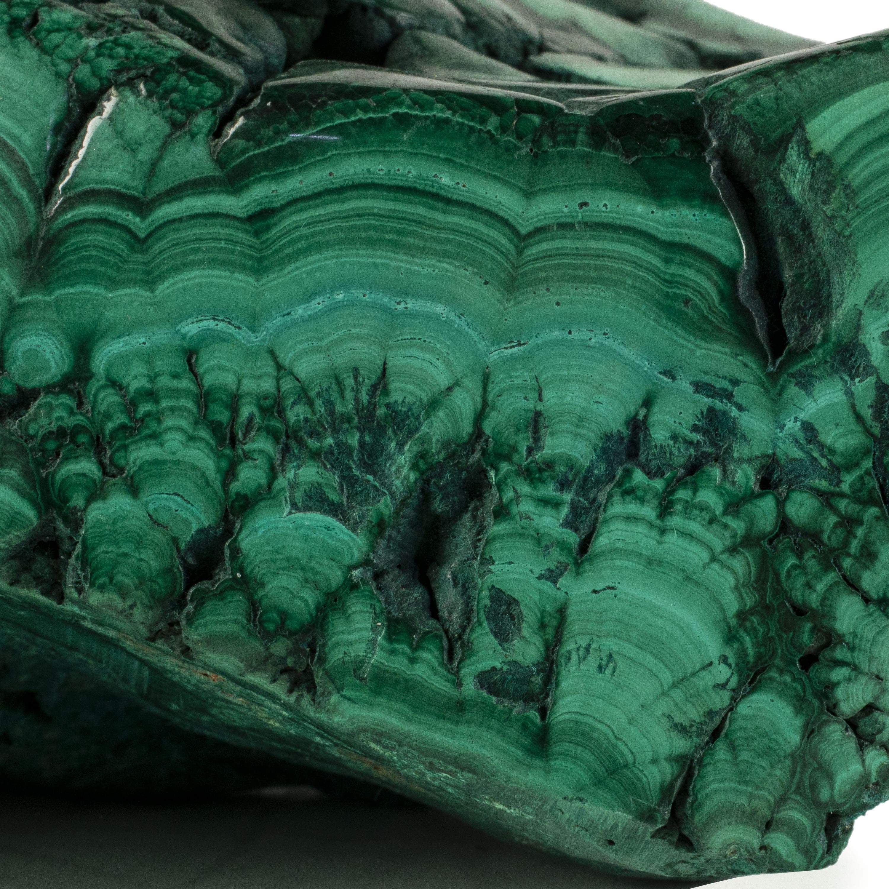 Kalifano Malachite Rare Natural Green Malachite Polished Freeform Specimen from Congo - 5.6 kg / 12.2 lbs MA3500.001