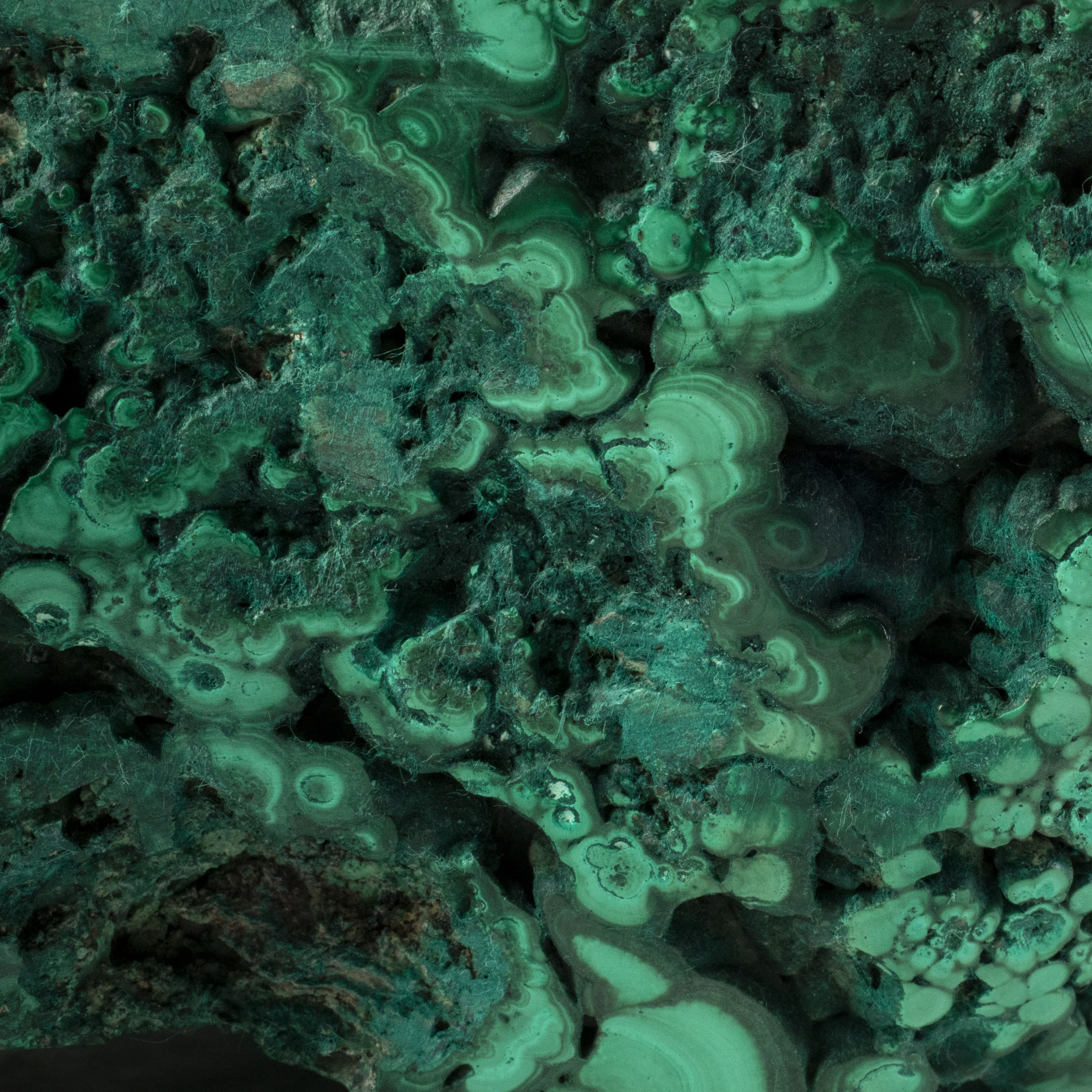 Kalifano Malachite Rare Natural Green Malachite Polished Freeform Specimen from Congo - 5.6 kg / 12.2 lbs MA3500.001