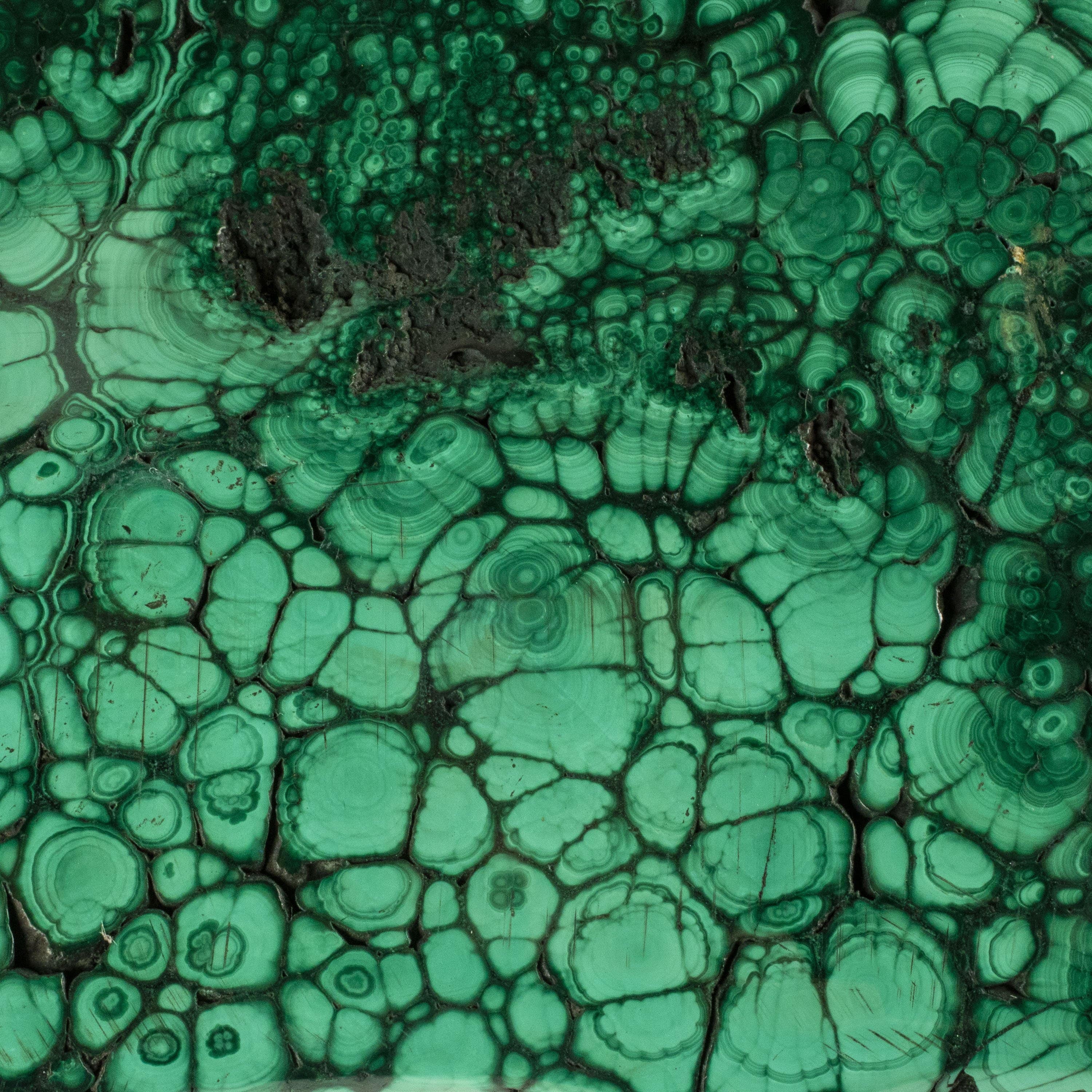 Kalifano Malachite Rare Natural Green Malachite Polished Freeform Specimen from Congo - 6.4 kg / 14.1 lbs MA4500.001