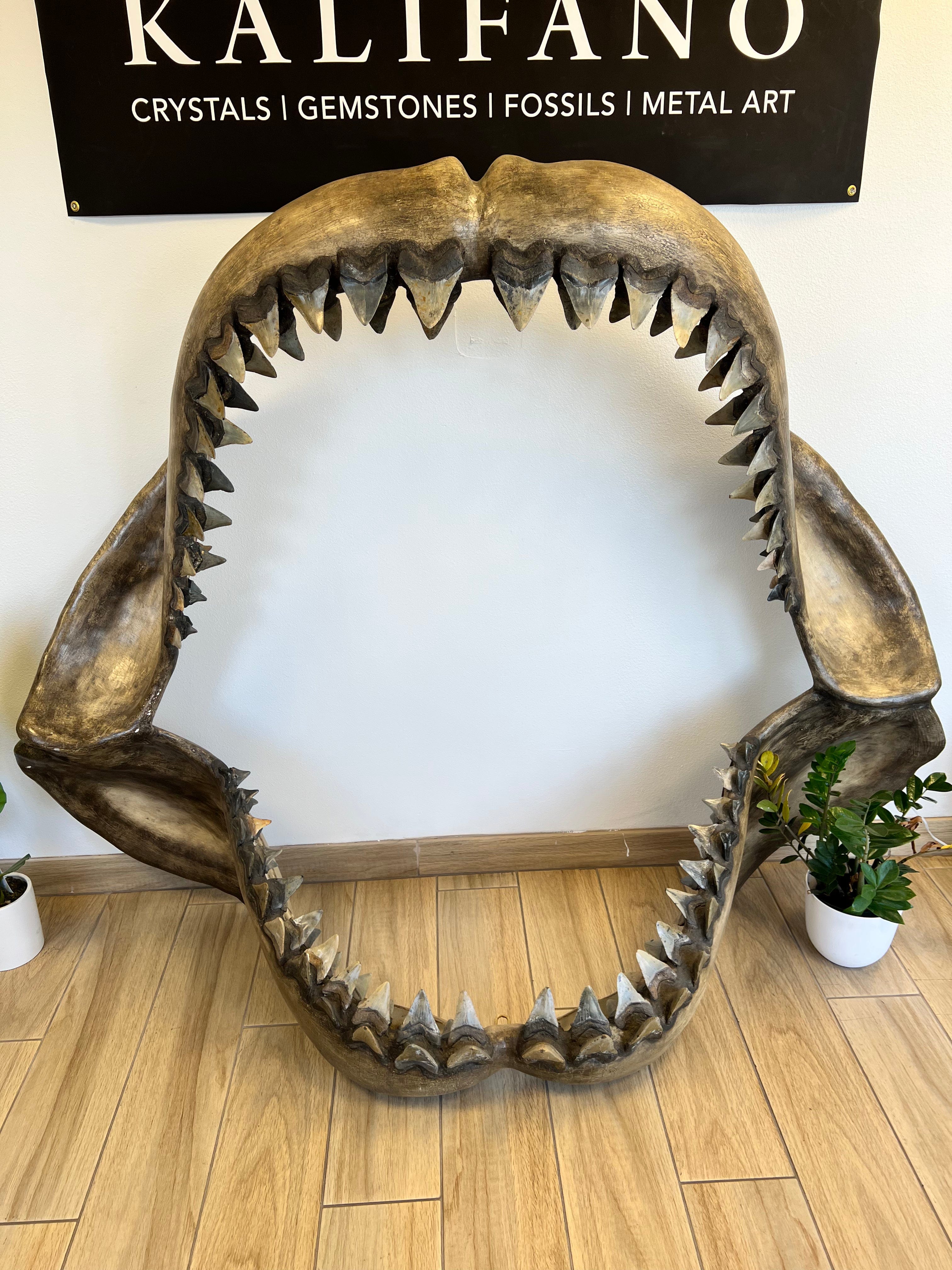 KALIFANO Megalodon Jaw 138 teeth 80‚ÄùW x 64‚ÄùH x 32‚ÄùD MEG600000