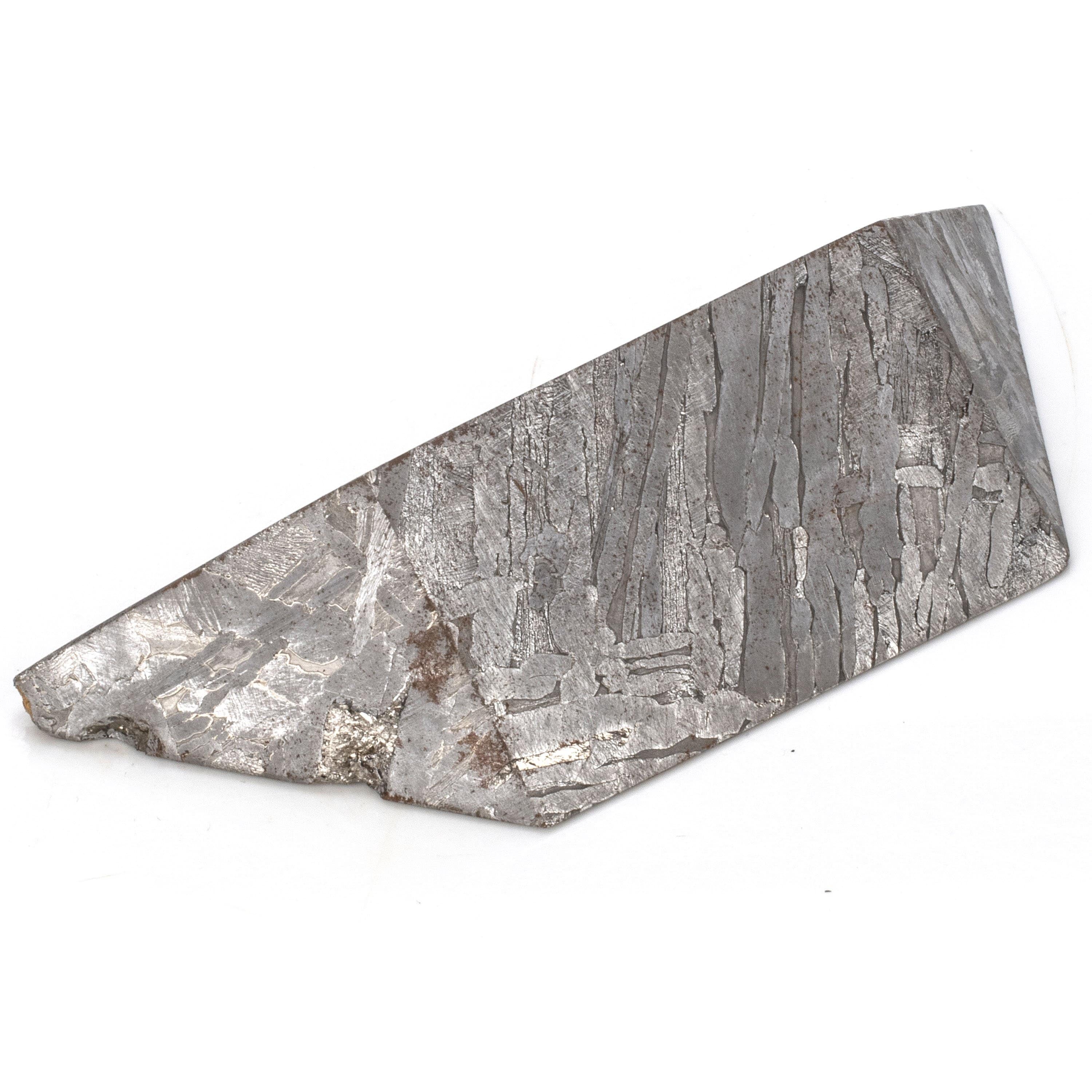 Kalifano Meteorites Natural Seymchan Meteorite from Russia - 400 grams / 4.5” MTS15000.001