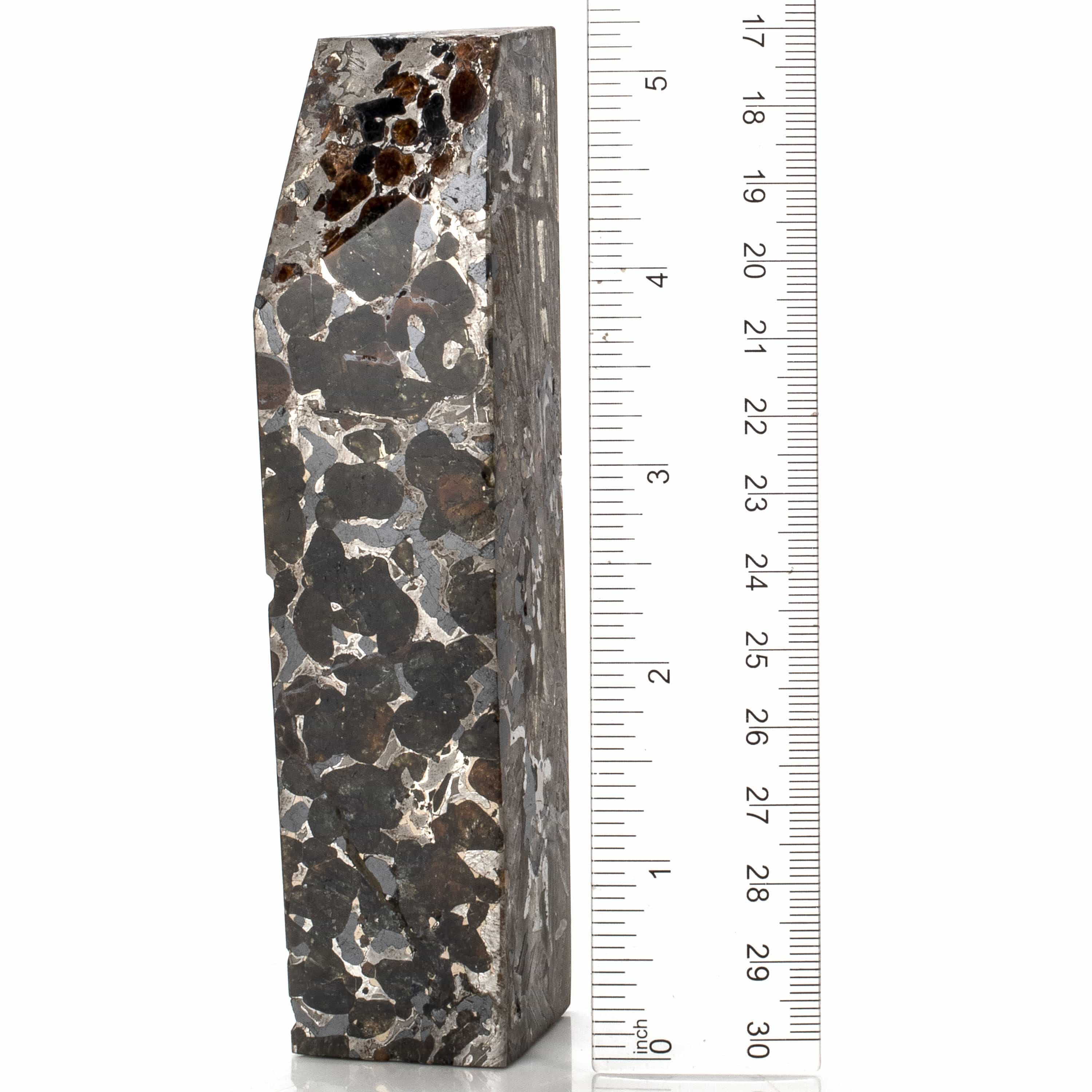 Kalifano Meteorites Natural Seymchan Meteorite from Russia - 480 grams / 5.25” MTS20000.001