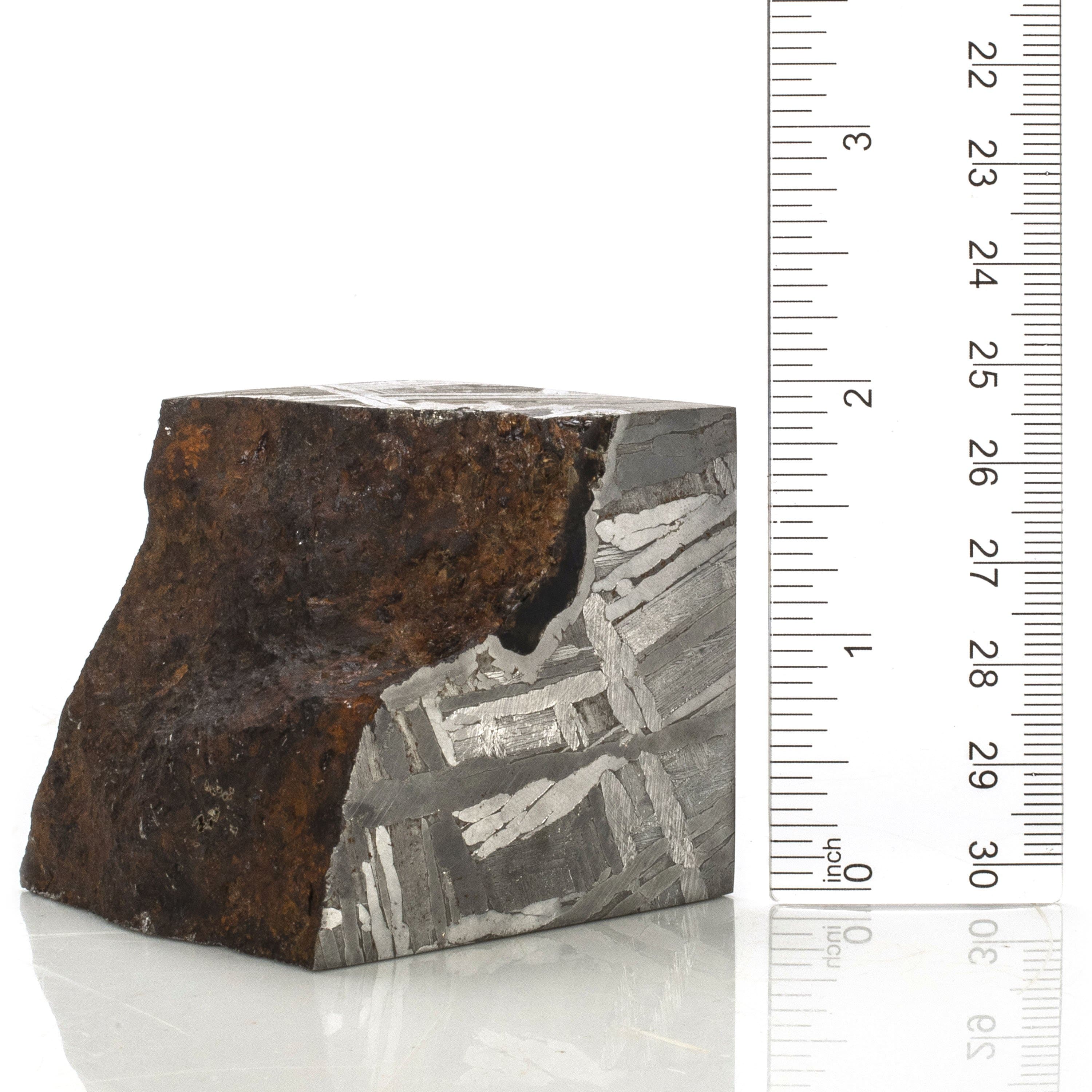 Kalifano Meteorites Natural Seymchan Meteorite from Russia - 845 grams / 2.25” MTS30000.001