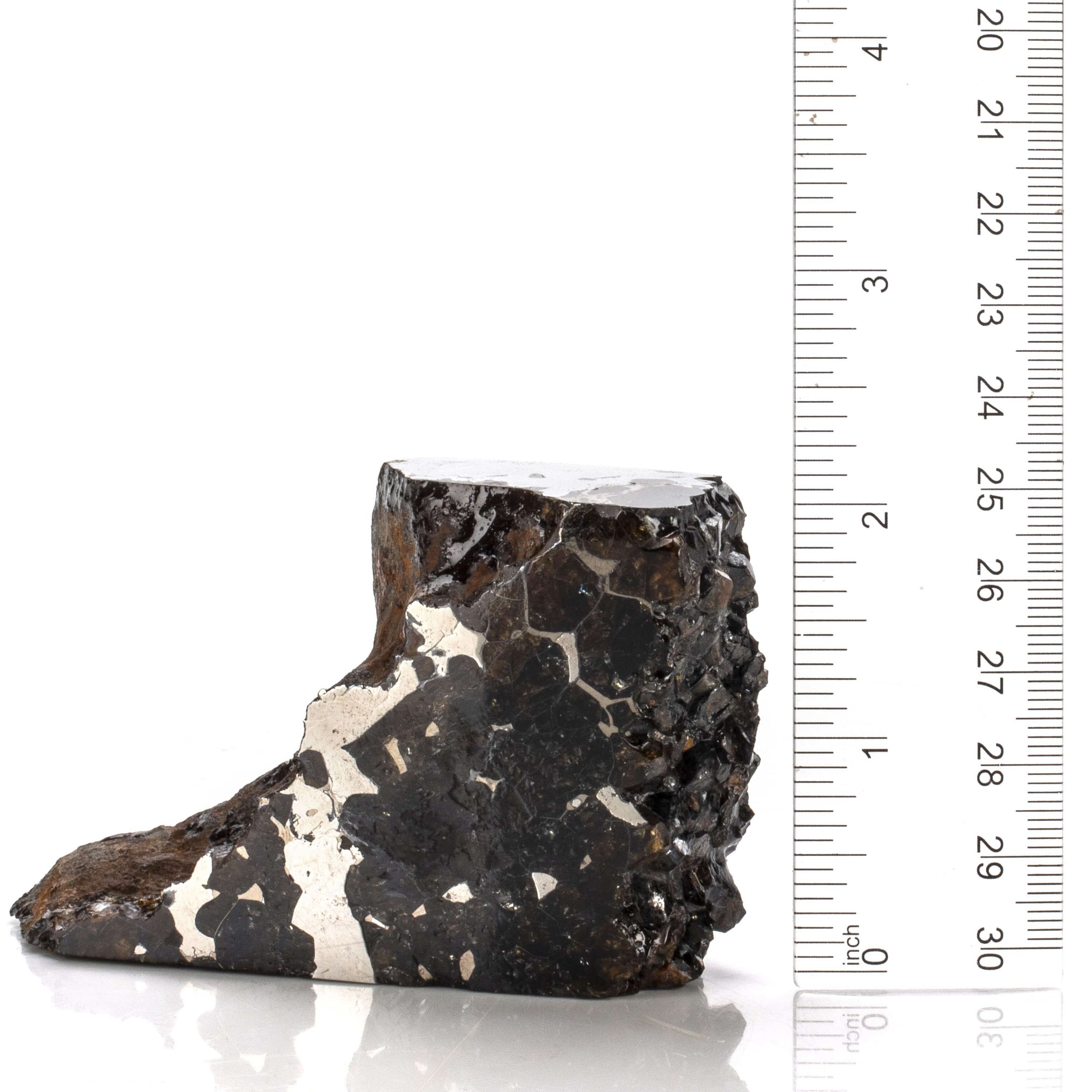 Kalifano Meteorites Natural Seymchan Pallasite Meteorite from Russia - 343 grams / 3.5” MTSP26000.001