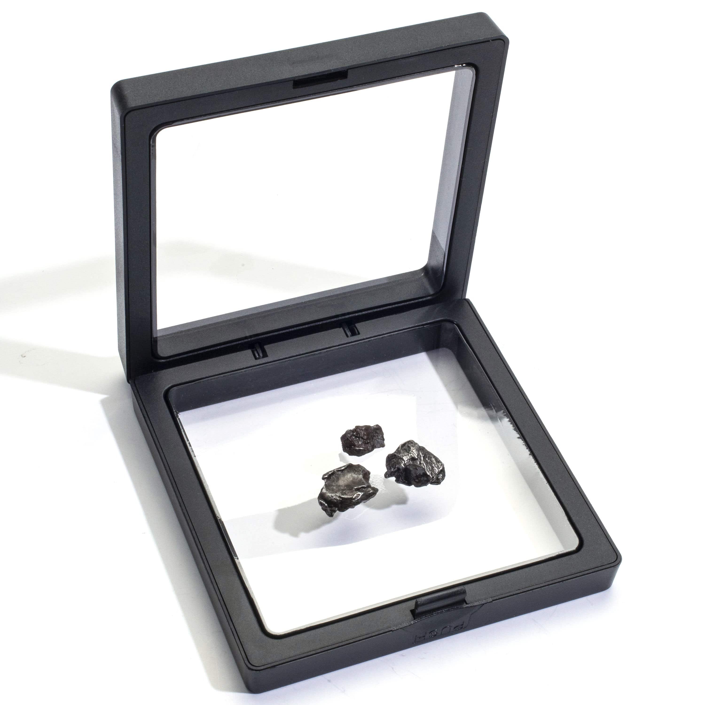 Kalifano Meteorites Natural Sikhote-Alin Meteorite from Russia (3 Pieces) MTS100