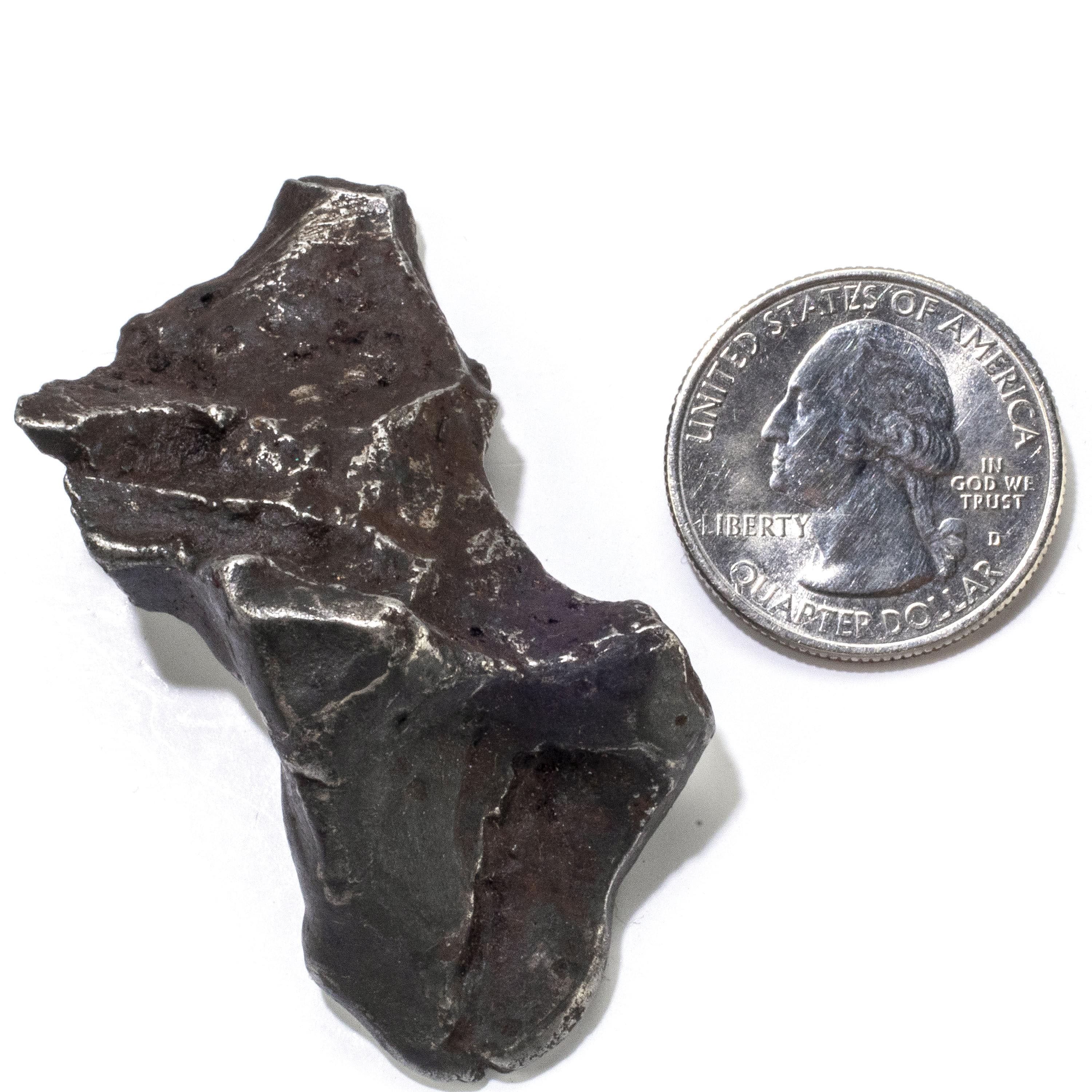 Kalifano Meteorites Natural Sikhote-Alin Meteorite from Russia - 68 grams / 2.25" MTS1400.002