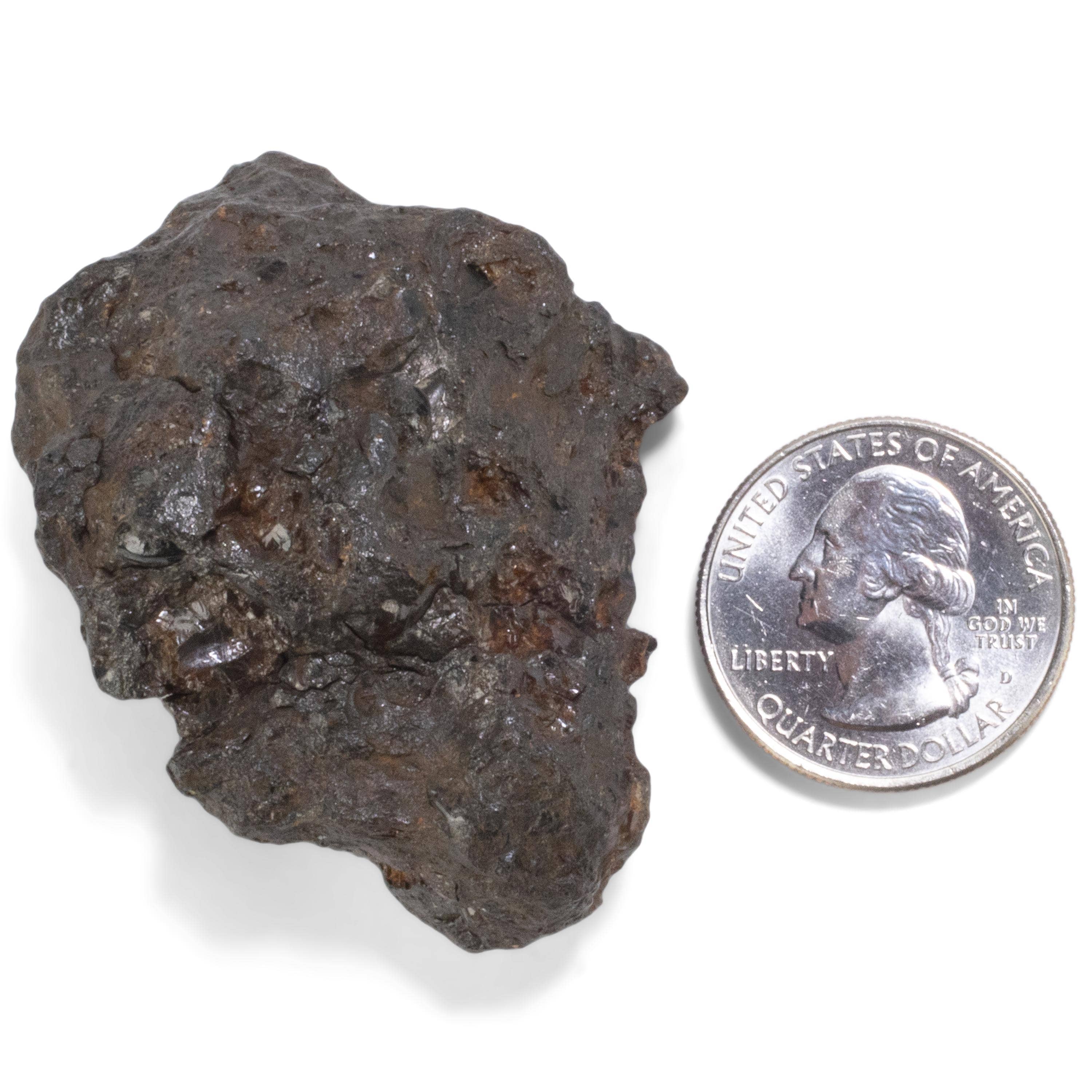Kalifano Meteorites Sericho Iron Meteorite discovered in Kenya - 101 grams MTCHO1800.001