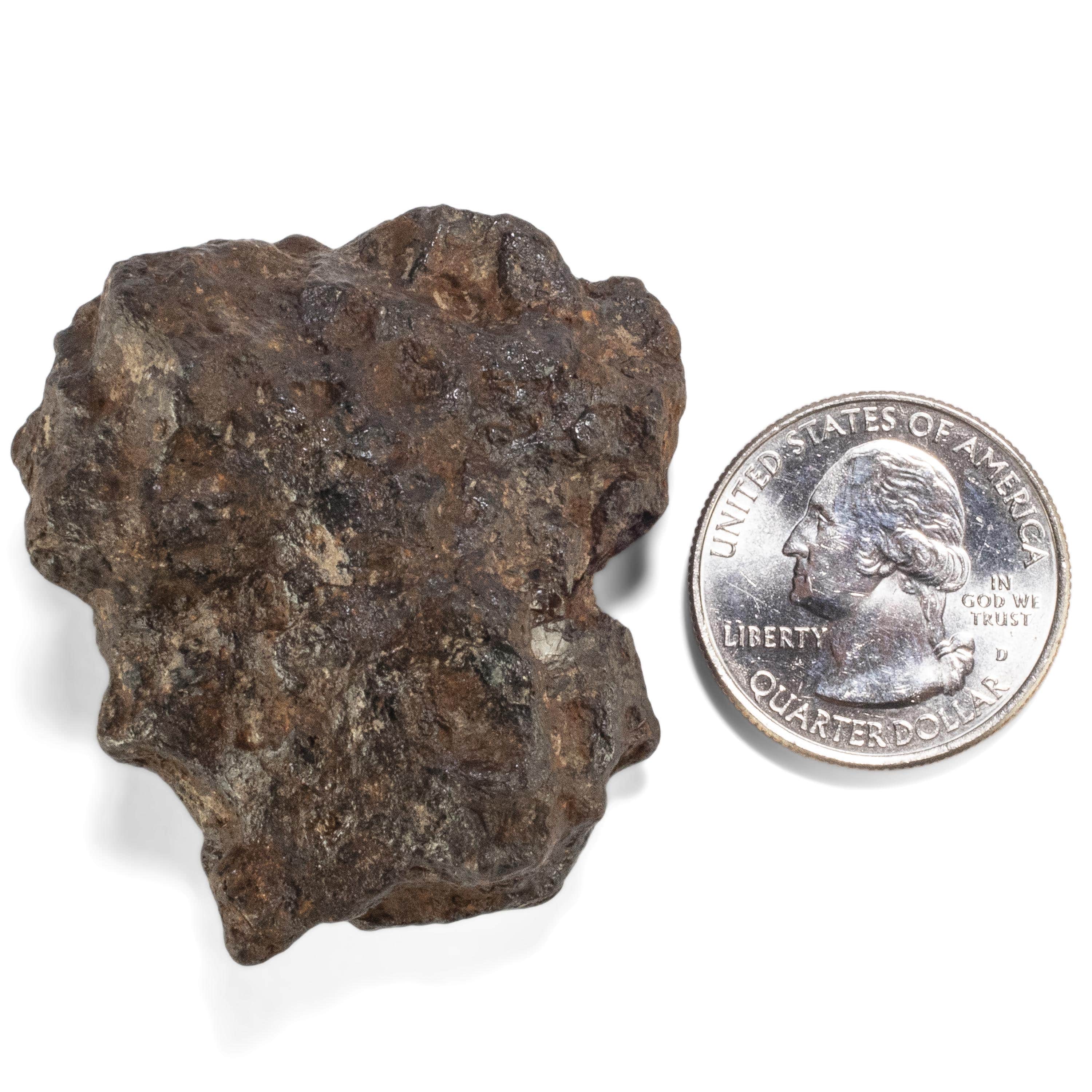 Kalifano Meteorites Sericho Iron Meteorite discovered in Kenya - 107.3 grams MTCHO2000.002