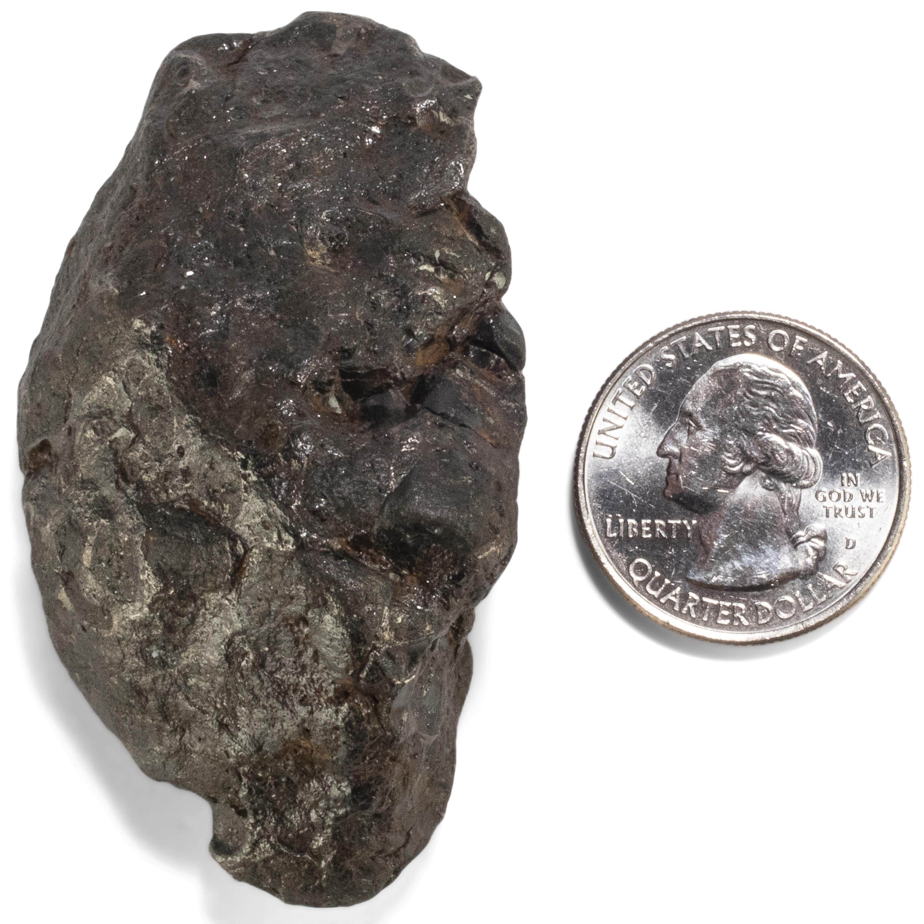 Kalifano Meteorites Sericho Iron Meteorite discovered in Kenya - 123 grams MTCHO2200.002