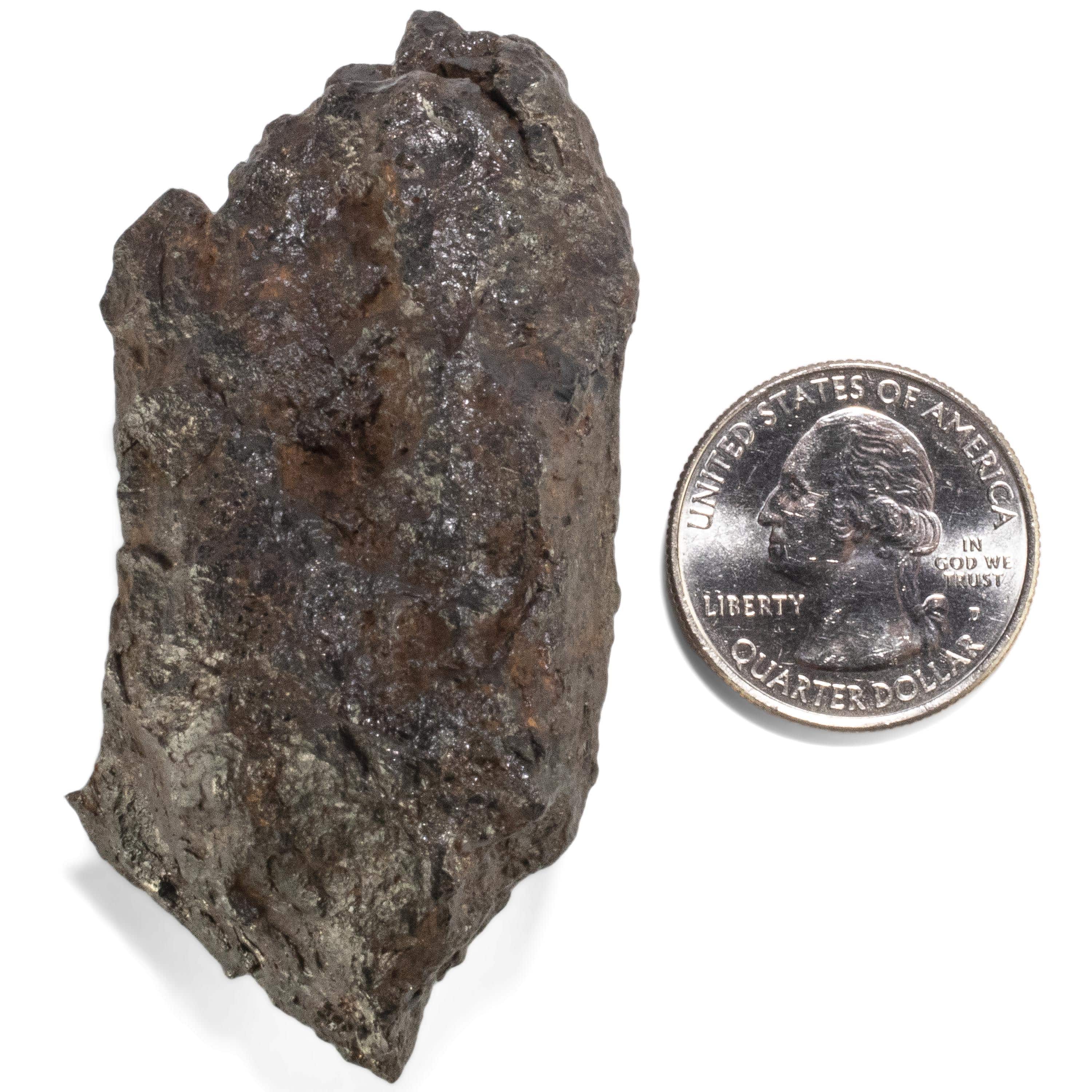 Kalifano Meteorites Sericho Iron Meteorite discovered in Kenya - 141.3 grams MTCHO2400.001