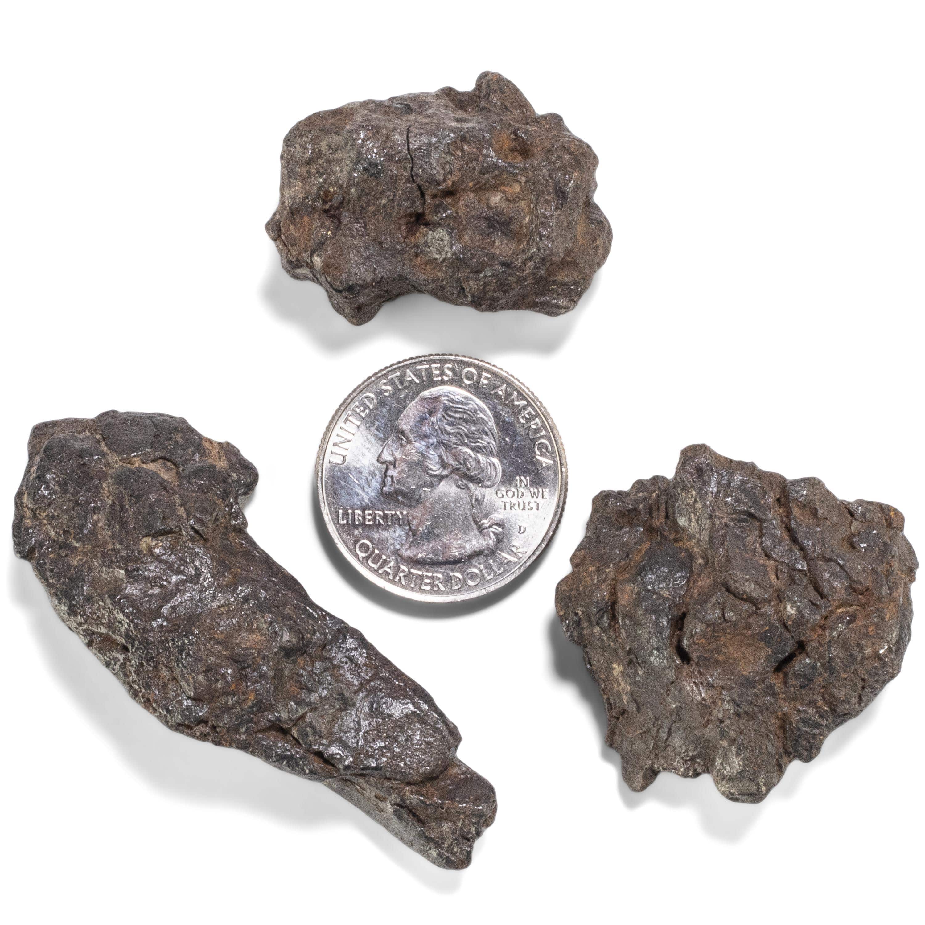 Kalifano Meteorites Sericho Iron Meteorite discovered in Kenya - 25 grams MTCHO500