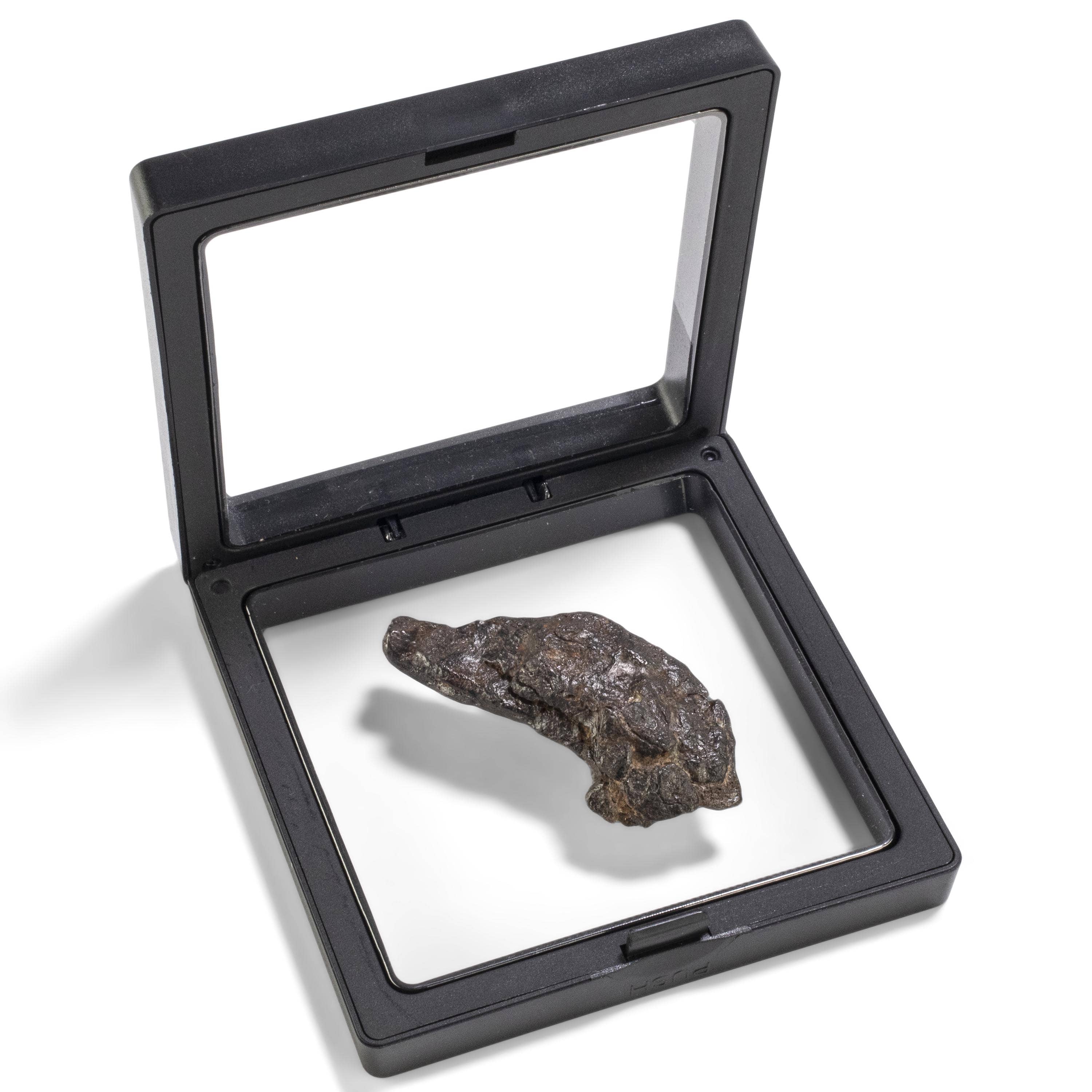 Kalifano Meteorites Sericho Iron Meteorite discovered in Kenya - 25 grams MTCHO500