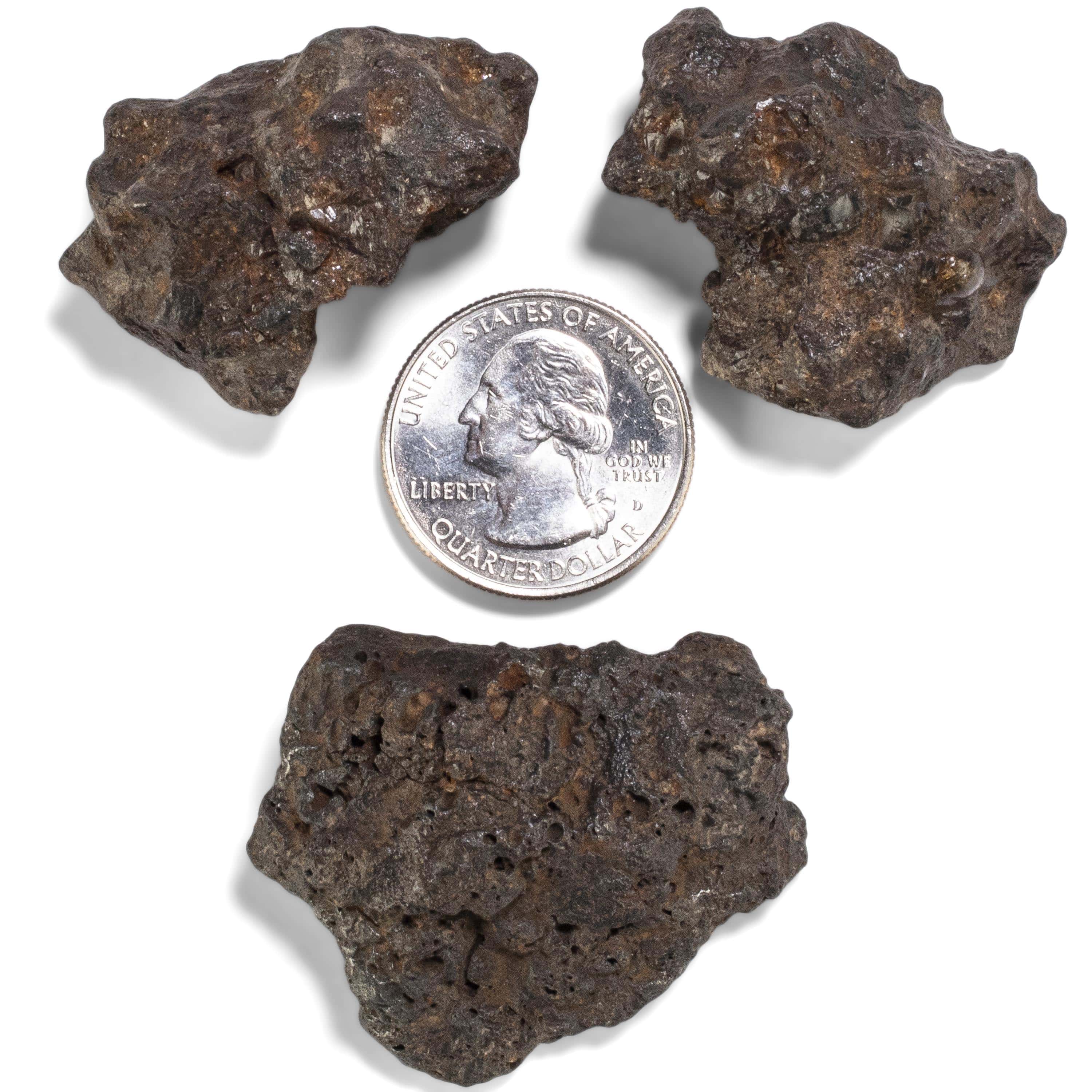 Kalifano Meteorites Sericho Iron Meteorite discovered in Kenya - 38 grams MTCHO800