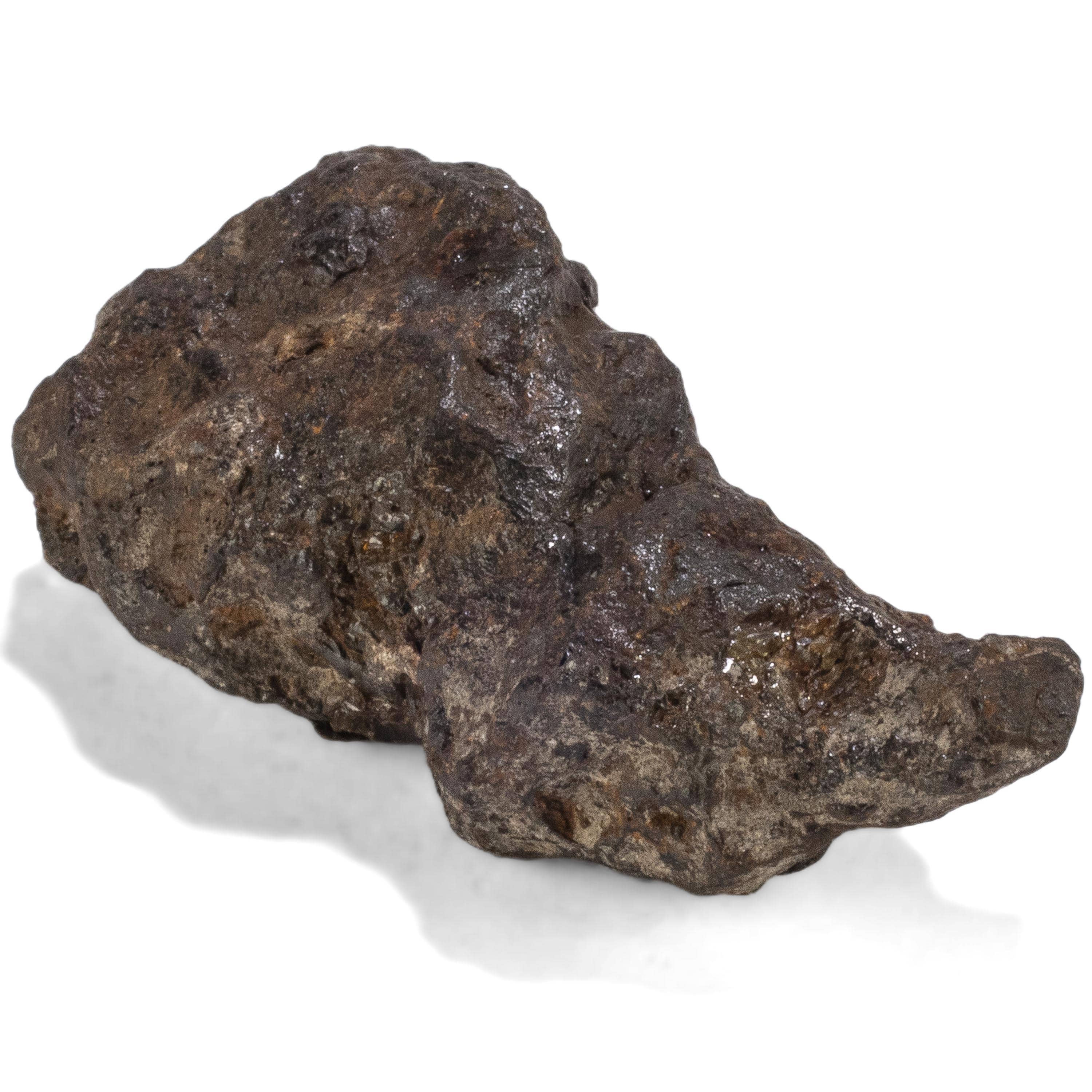 Kalifano Meteorites Sericho Iron Meteorite discovered in Kenya - 45 grams MTCHO1000