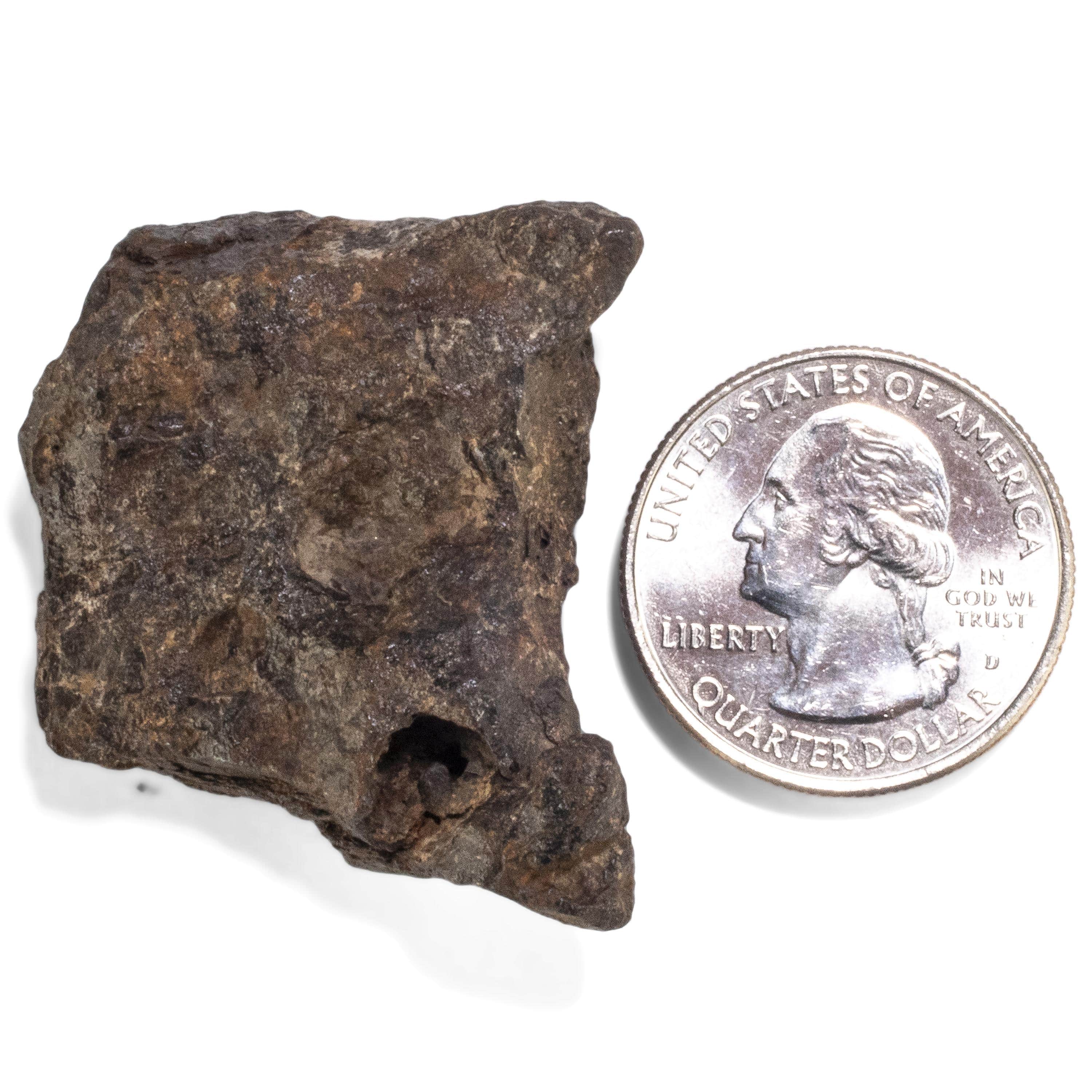 Kalifano Meteorites Sericho Iron Meteorite discovered in Kenya - 47.8 grams MTCHO900.003
