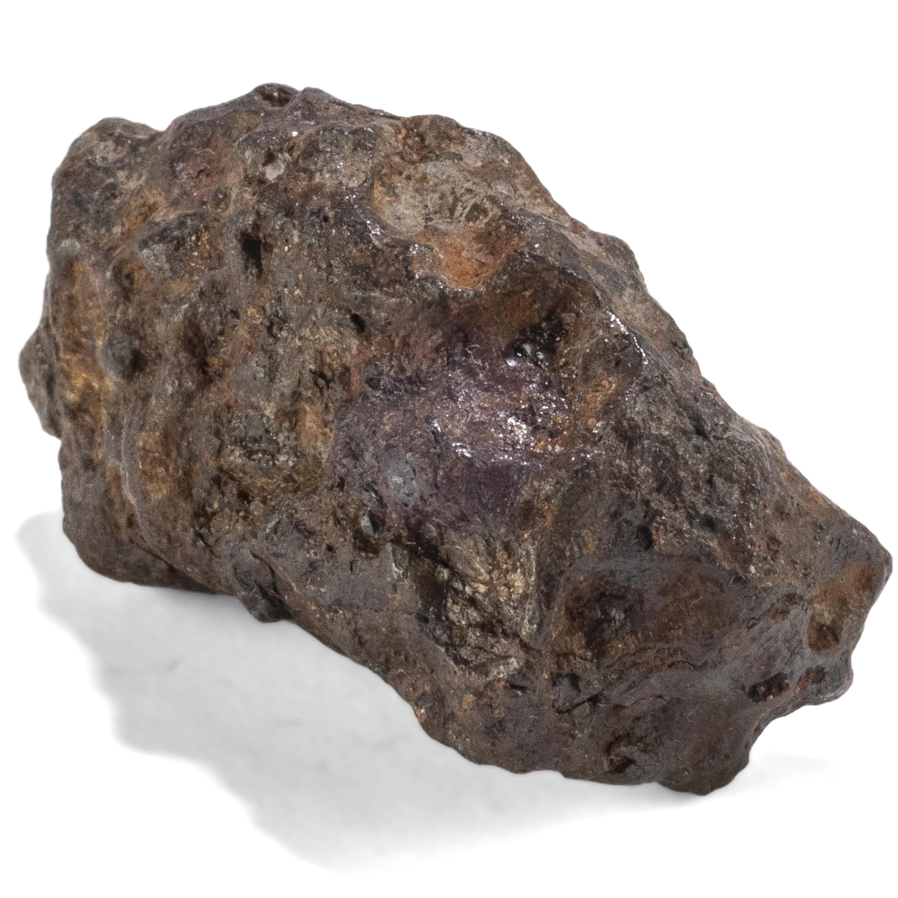 Kalifano Meteorites Sericho Iron Meteorite discovered in Kenya - 57.2 grams MTCHO1000.003